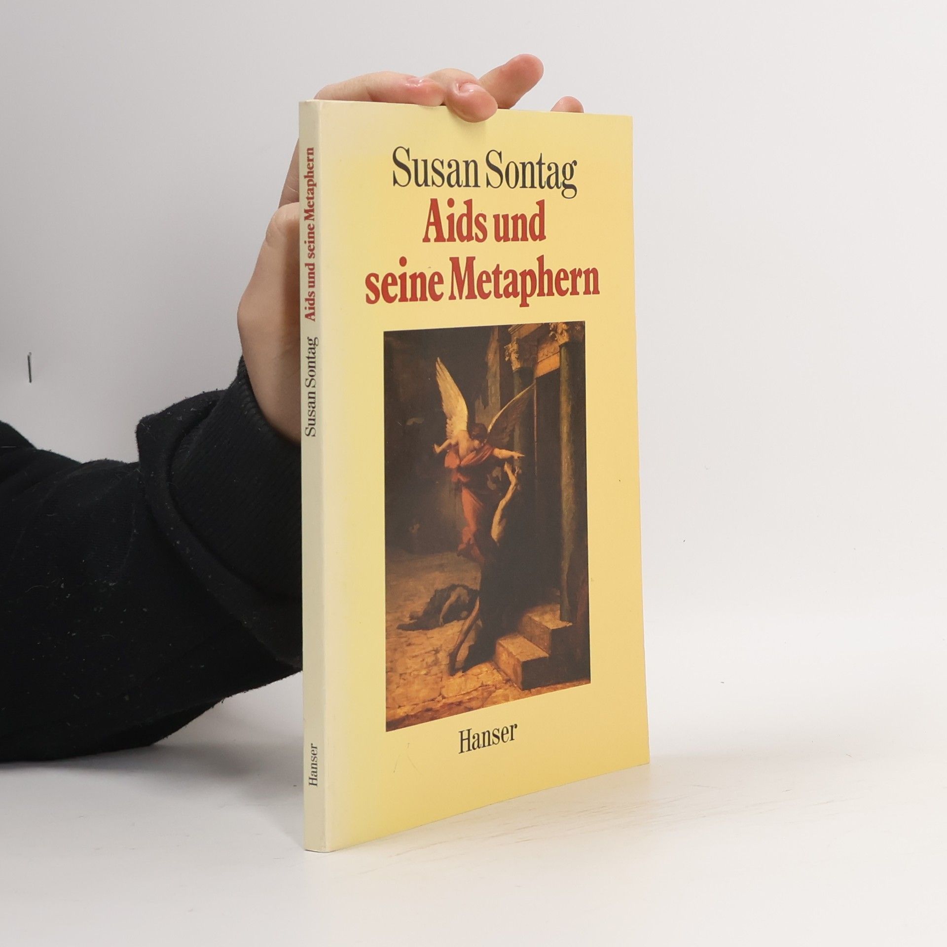 Susan Sontag Aids und seine Metaphern