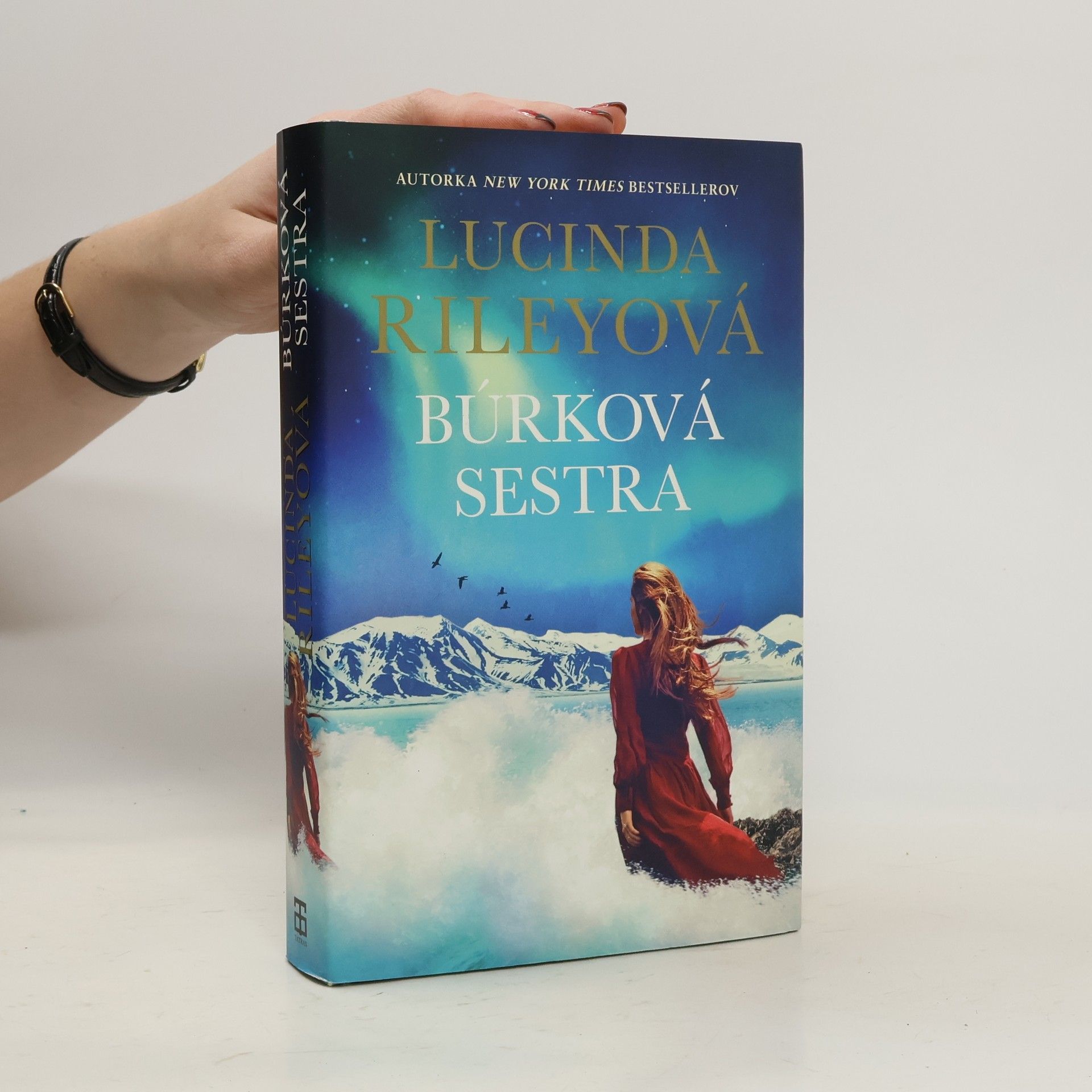 Lucinda Riley Búrková sestra