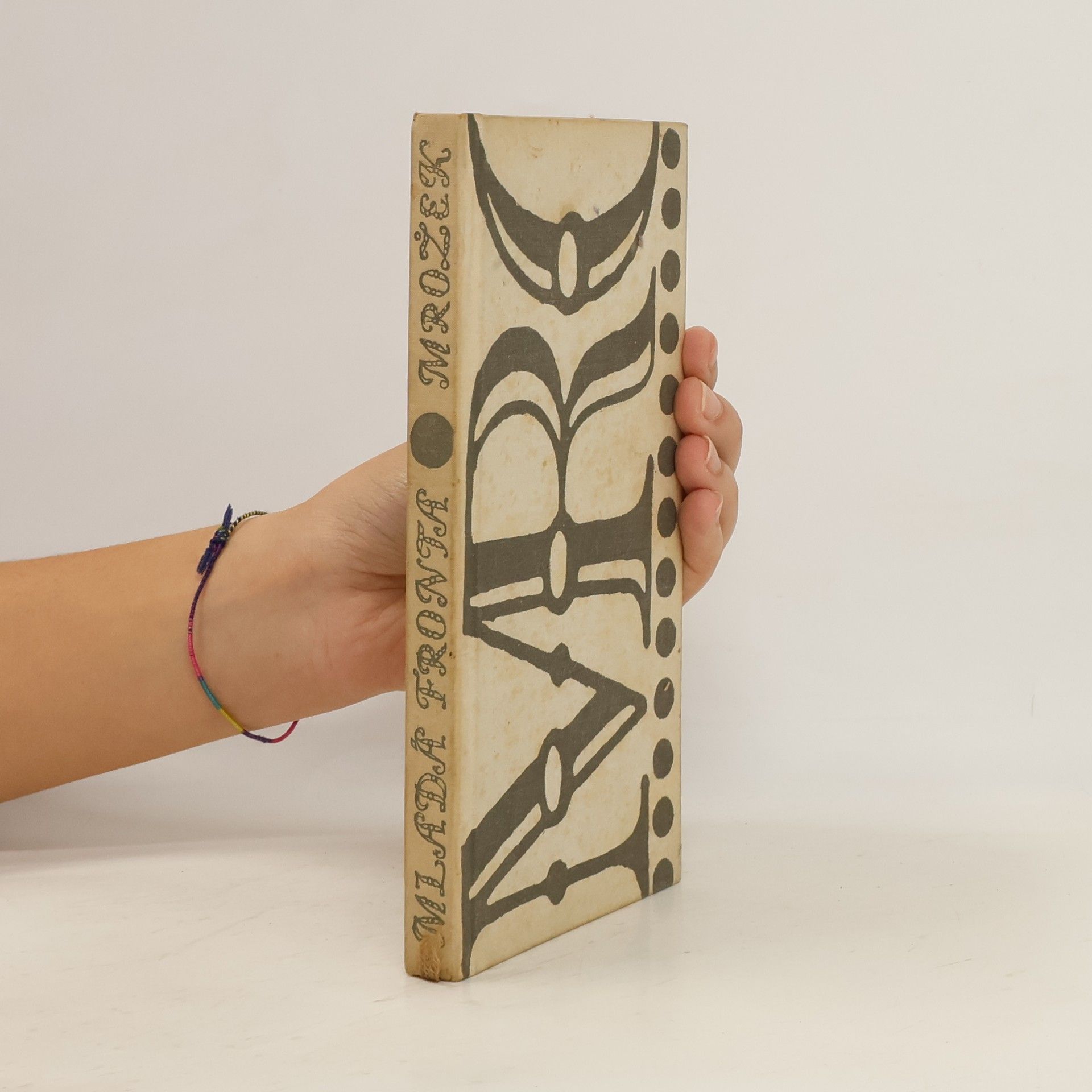 Sławomir Mrożek Věrný strážce