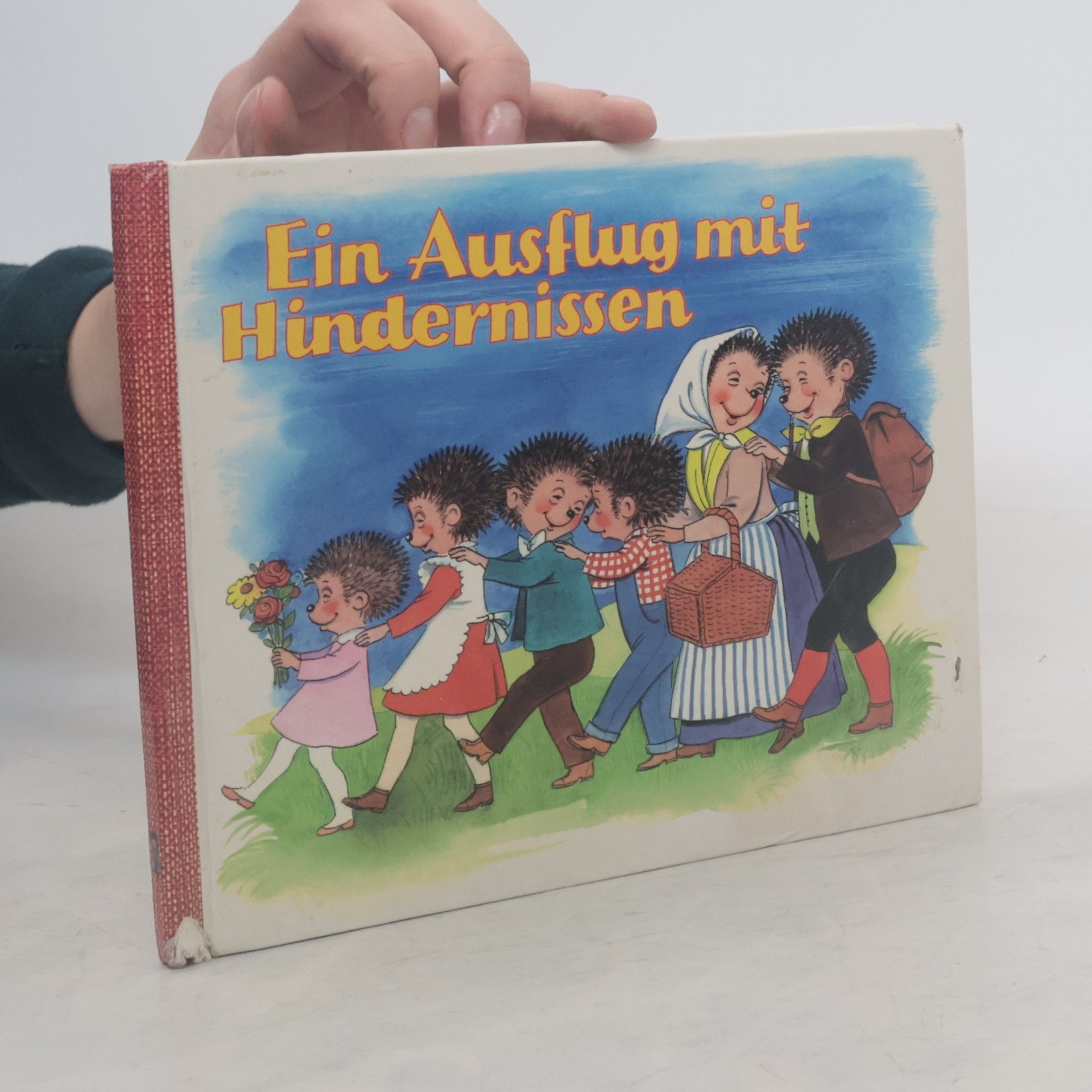 kolektiv Ein Ausflug mit Hindernissen
