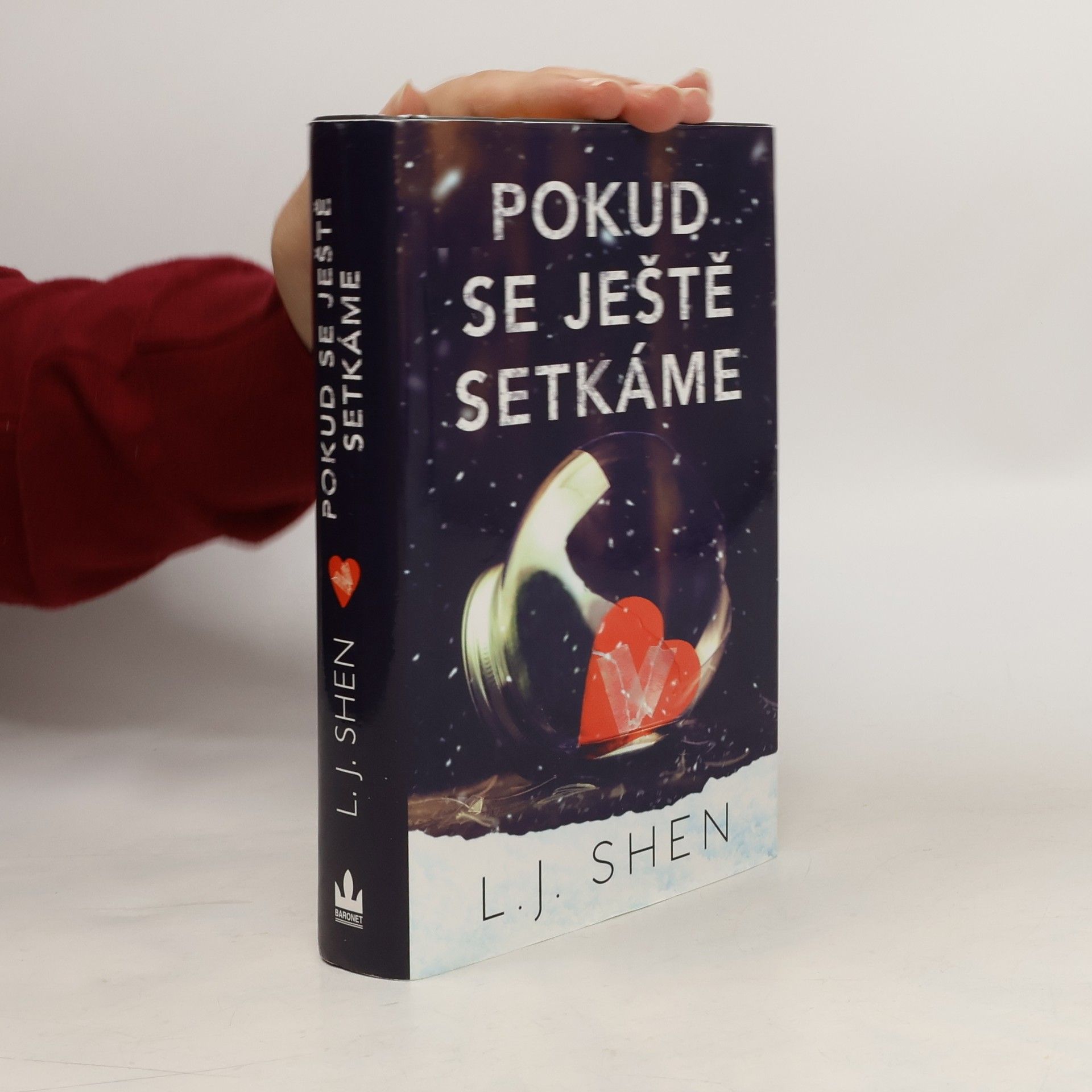 L. J. Shen Pokud se ještě setkáme