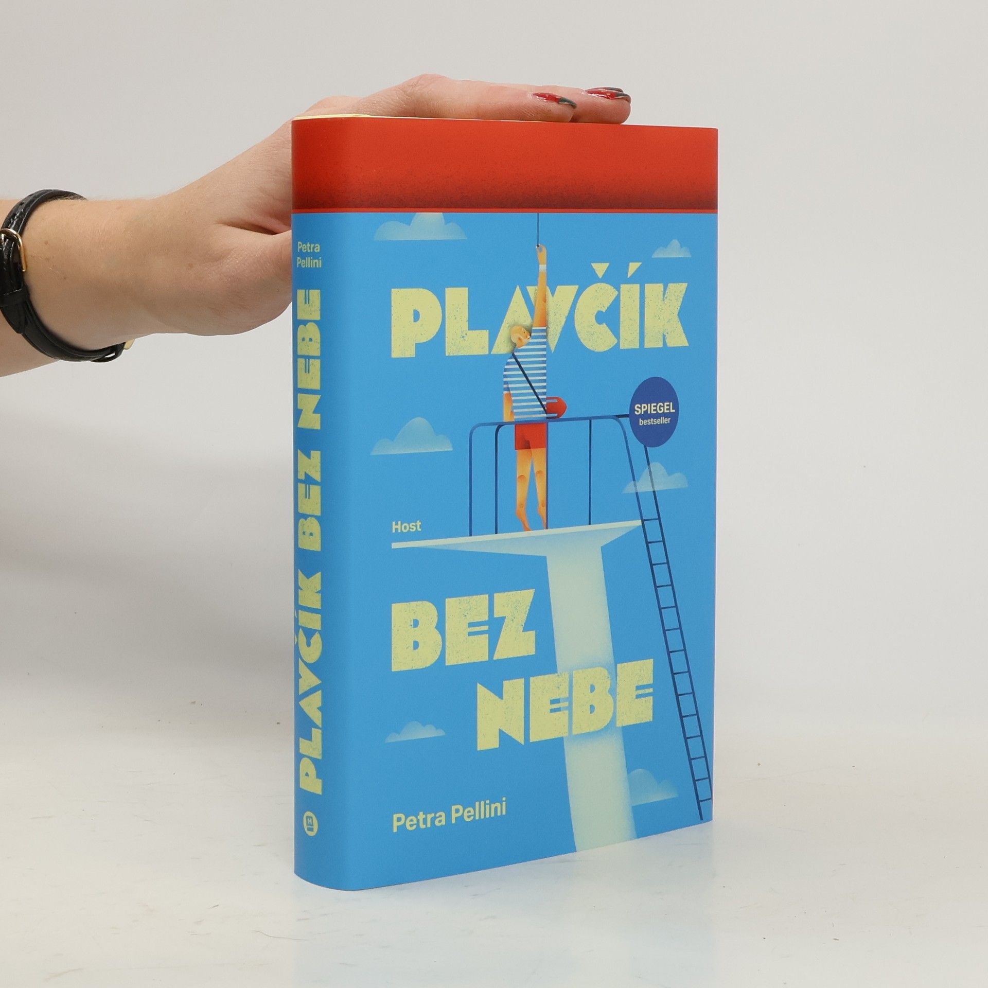 Petra Pellini Plavčík bez nebe