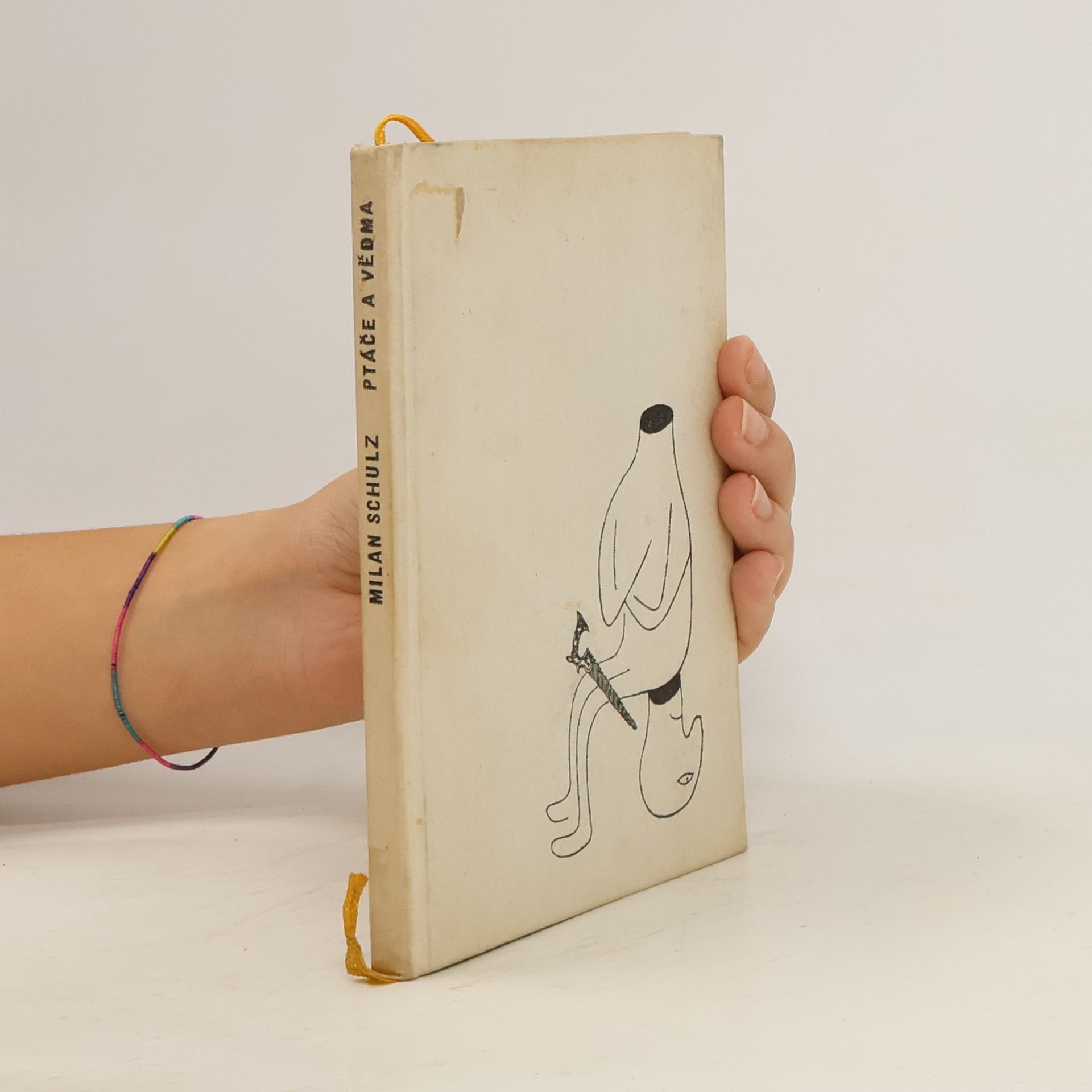 Milan Schulz Ptáče a vědma