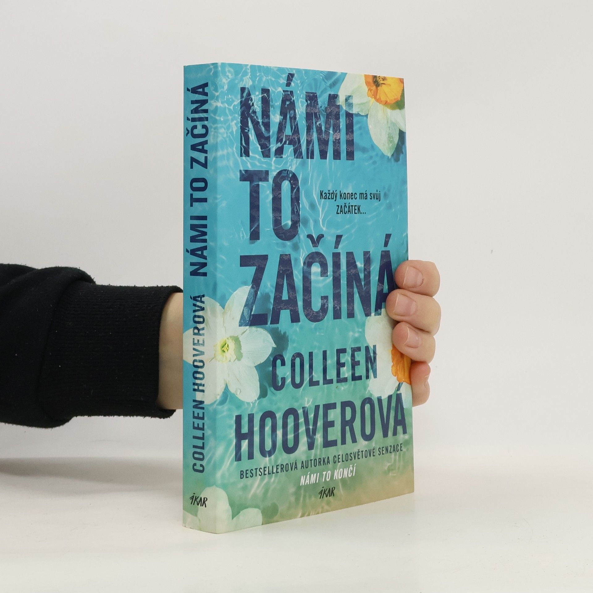 Colleen Hoover Námi to začíná