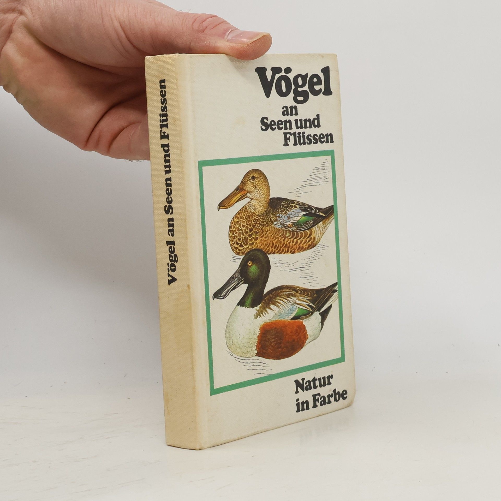 J. Felix Vögel an Seen und Flüssen