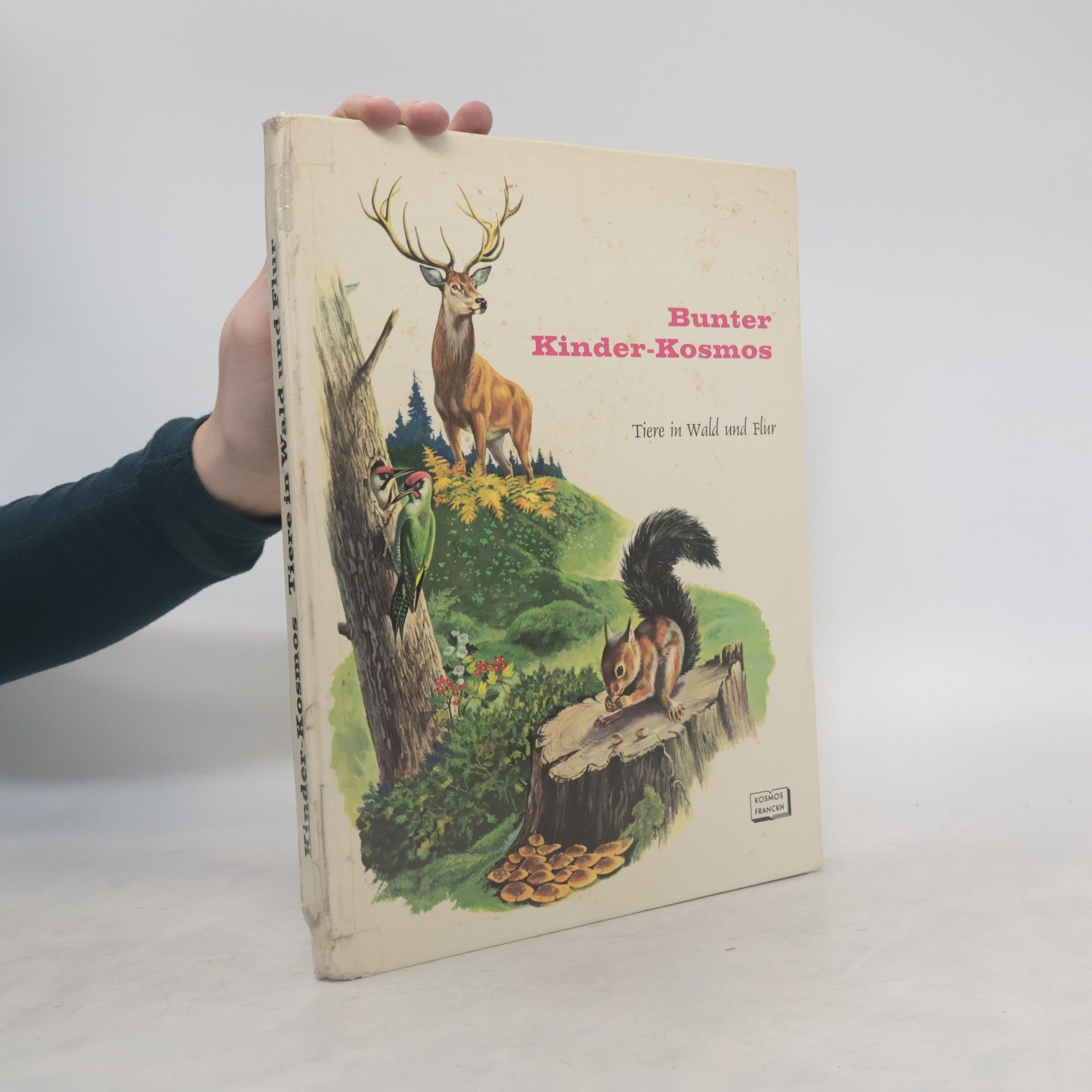 Autorenkollektiv Bunter Kinder-Kosmos