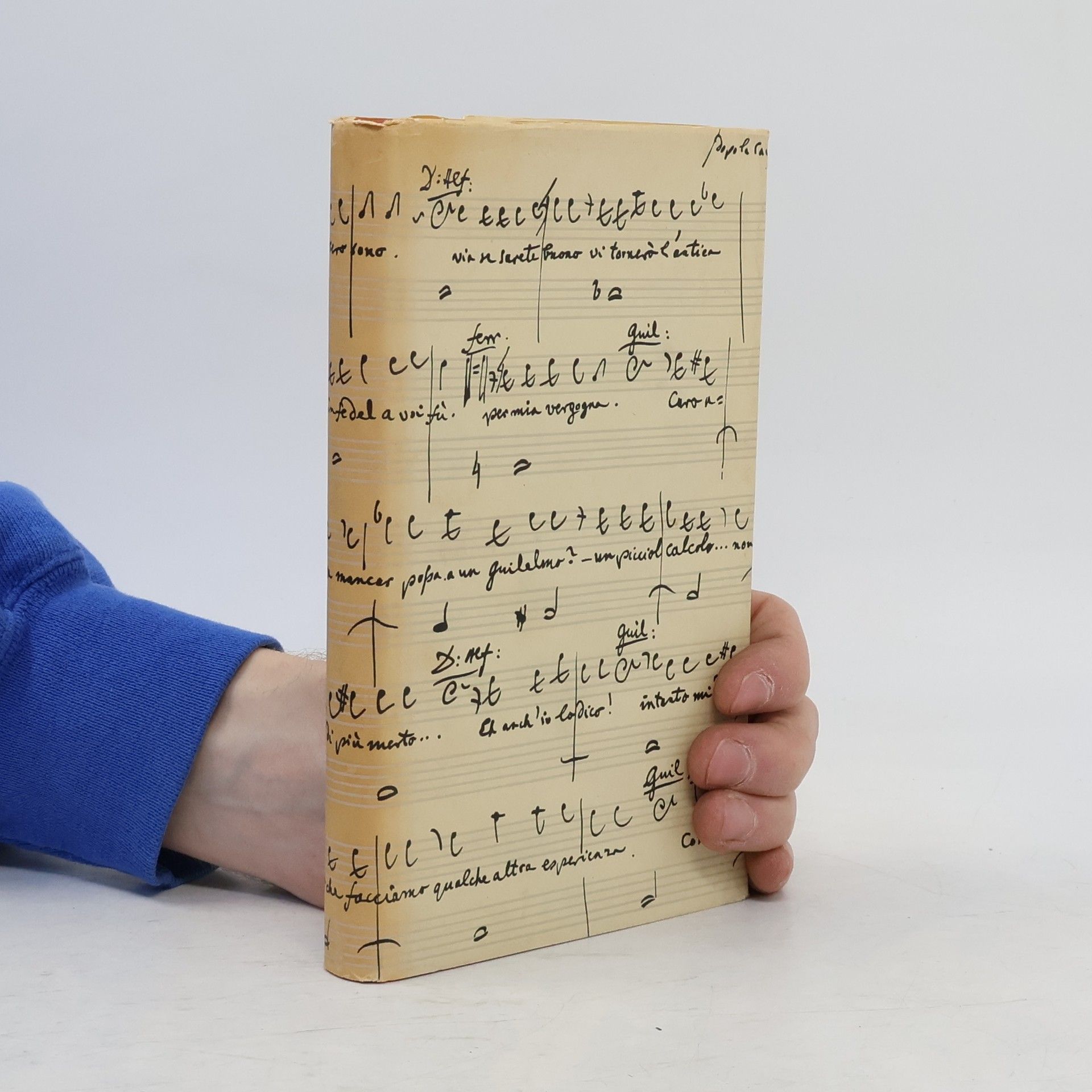 Aloys Greither Die sieben großen Opern Mozarts