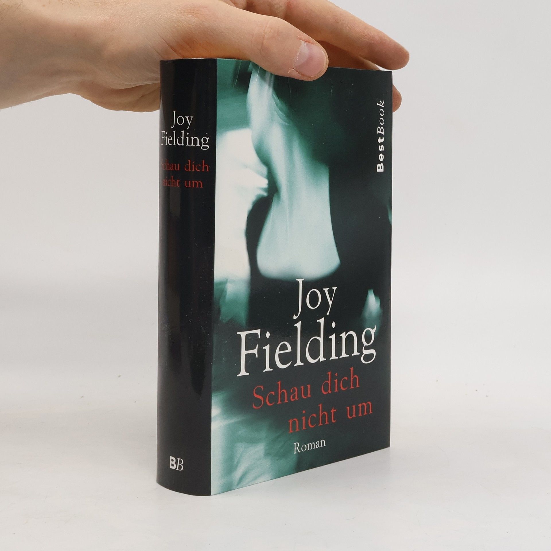Joy Fielding Schau dich nicht um