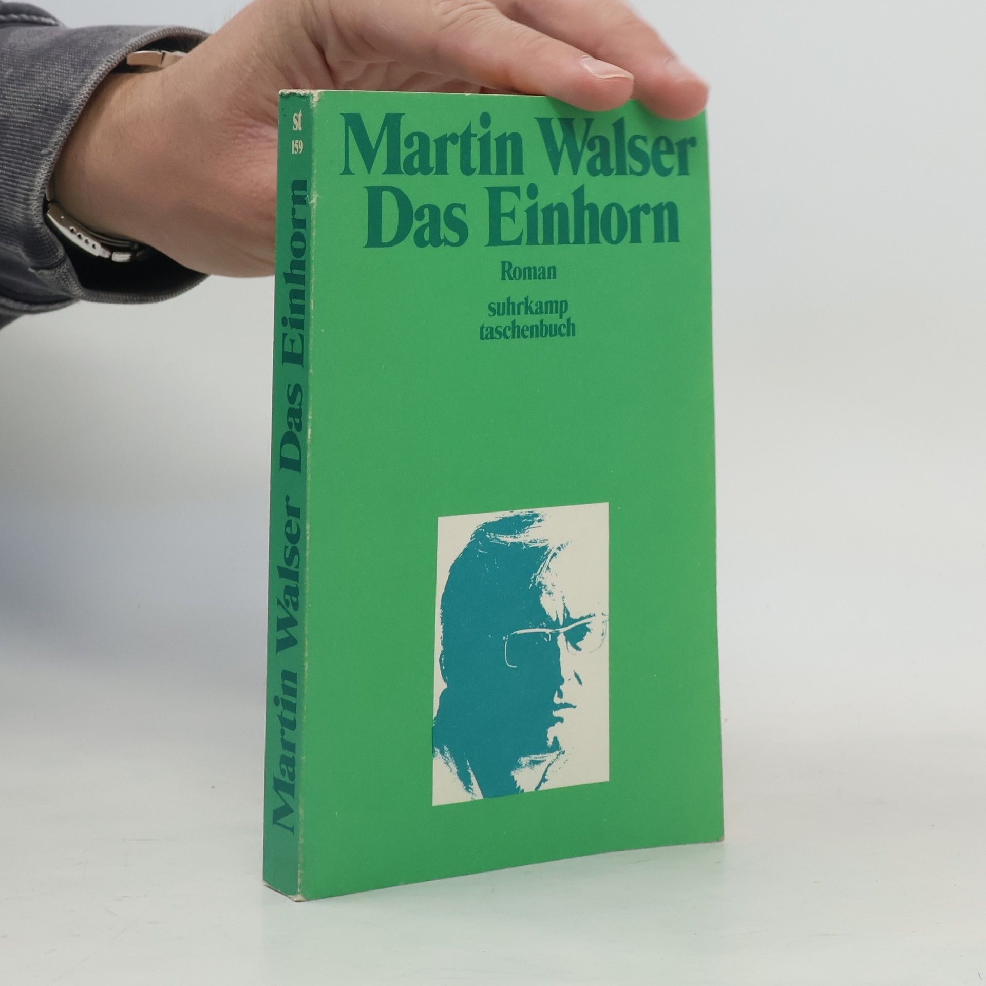 Martin Walser Das Einhorn