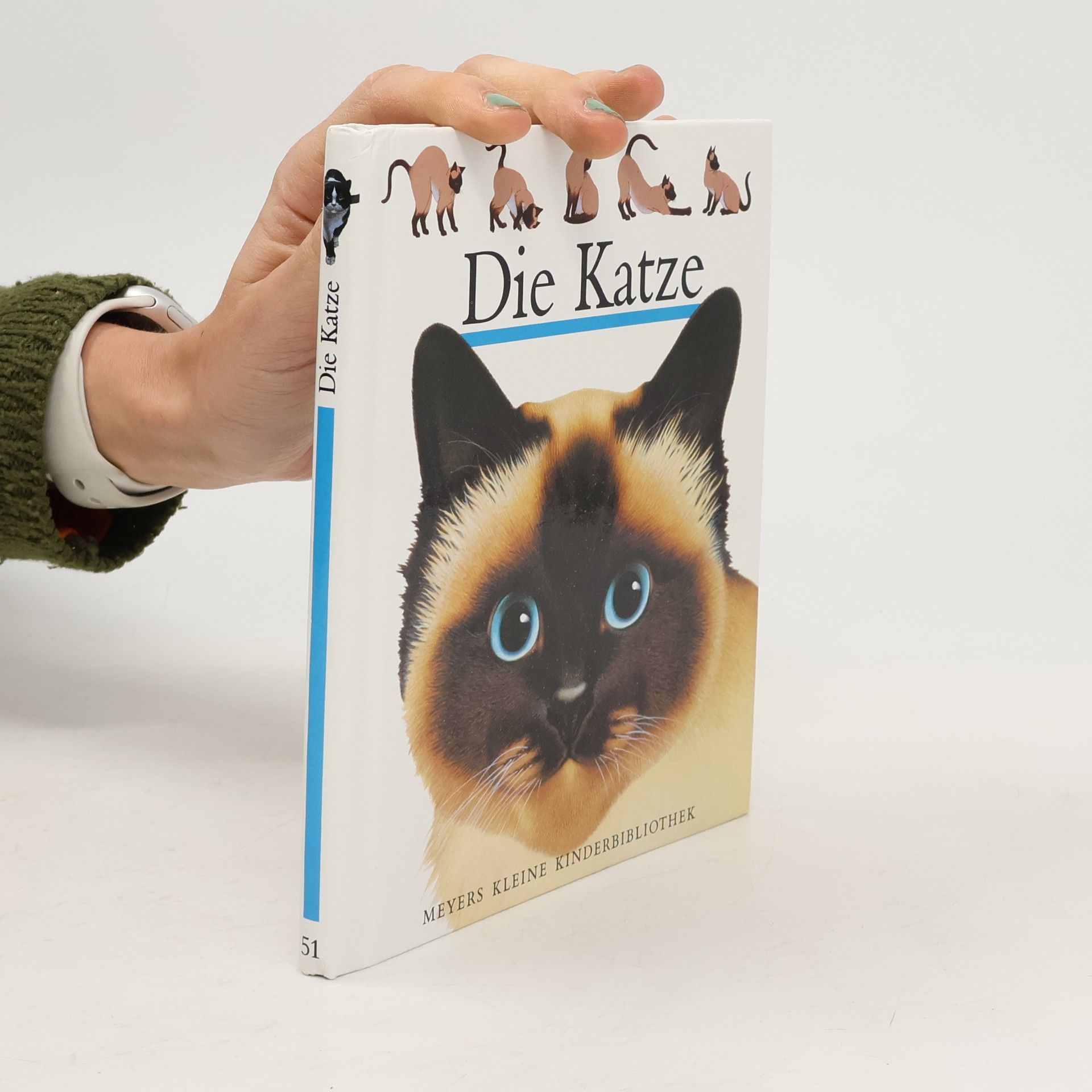 Autorenkollektiv Die Katze