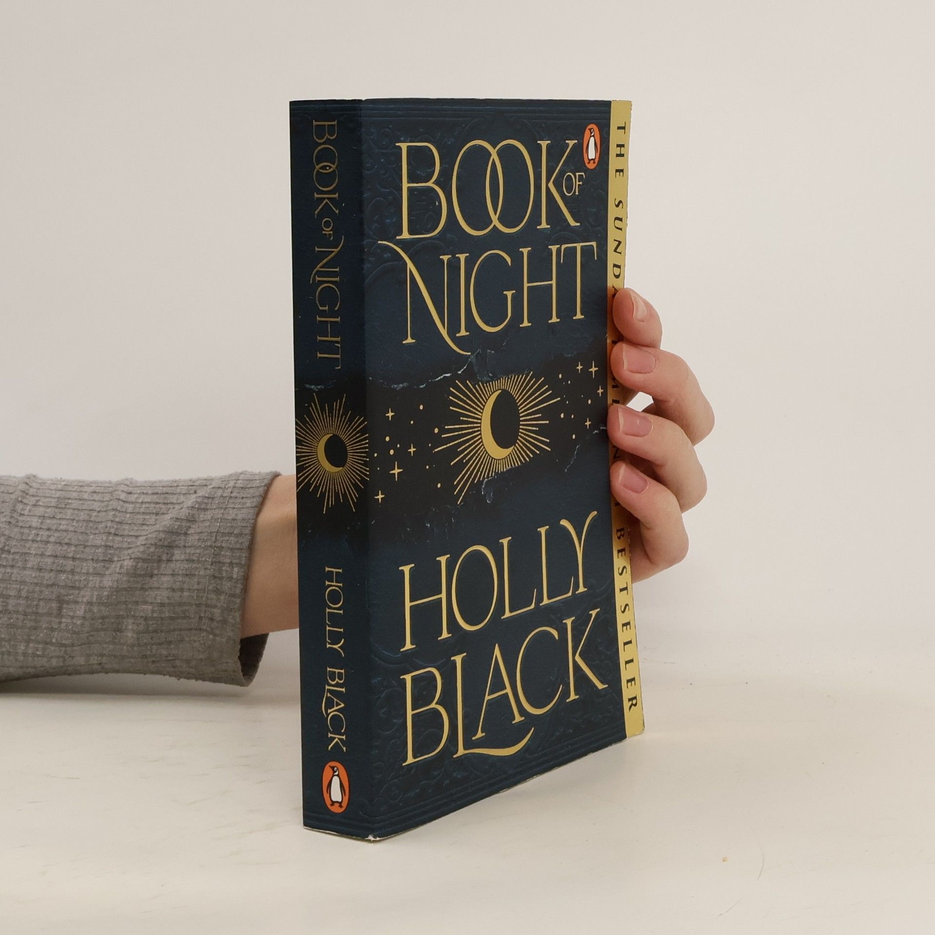 Holly Black Book of night