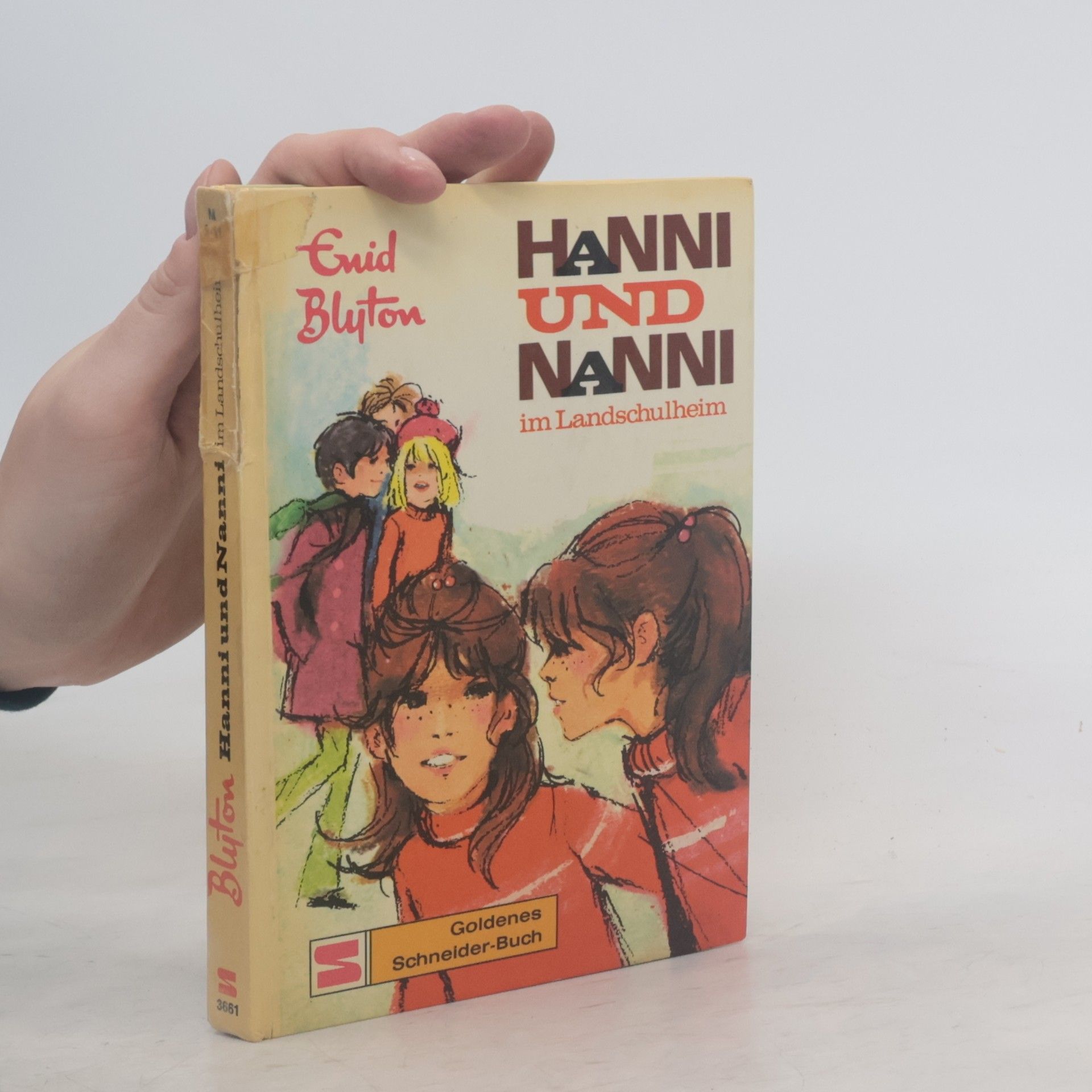 Enid Blyton Hanni und Nanni im Landschulheim