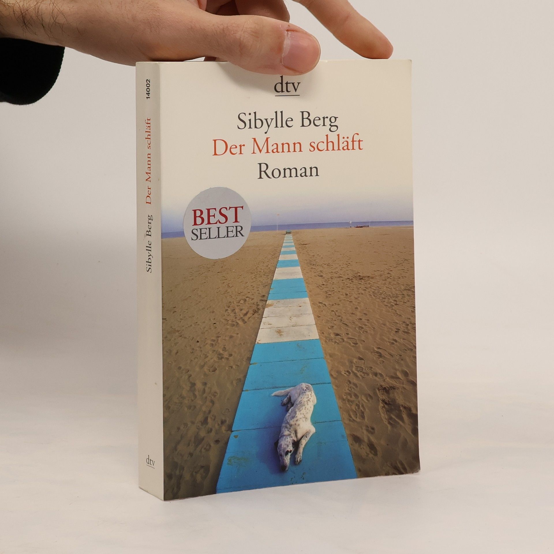 Sibylle Berg Der Mann schläft