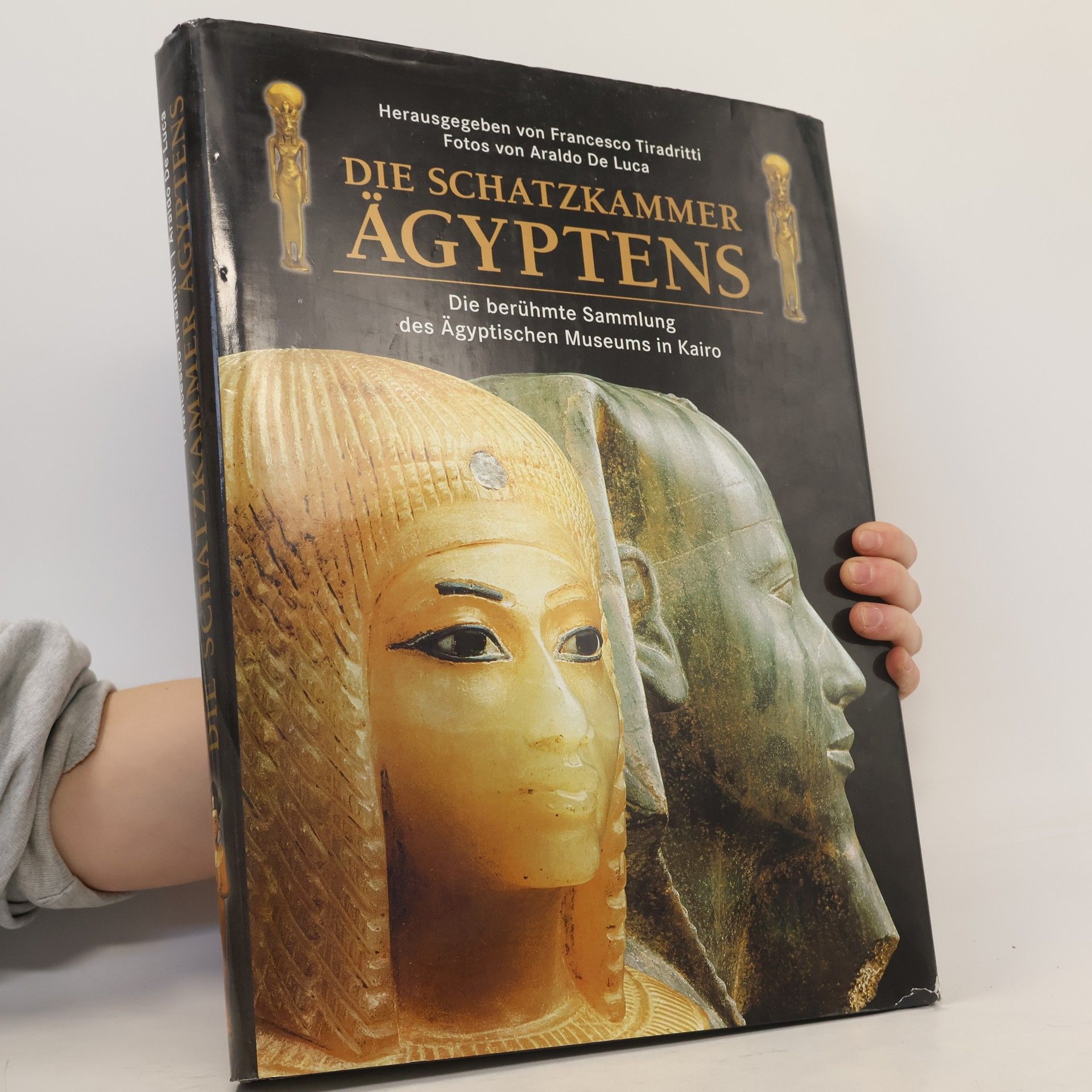 Francesco Tiradritti Die Schatzkammer Ägyptens