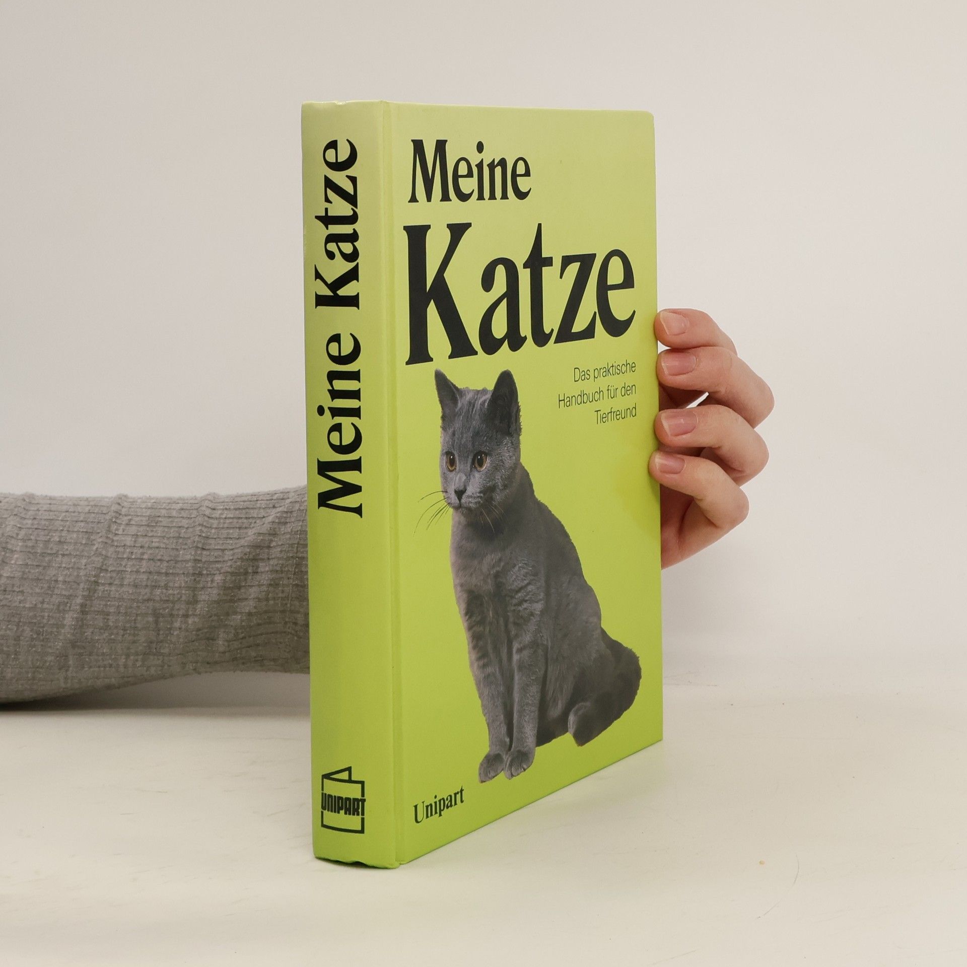 Meine Katze
