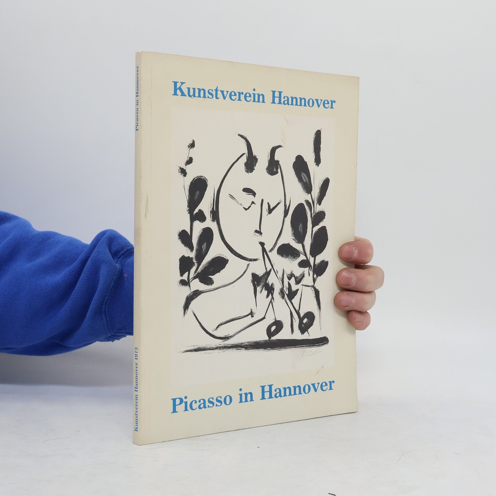 kolektiv Picasso in Hannover