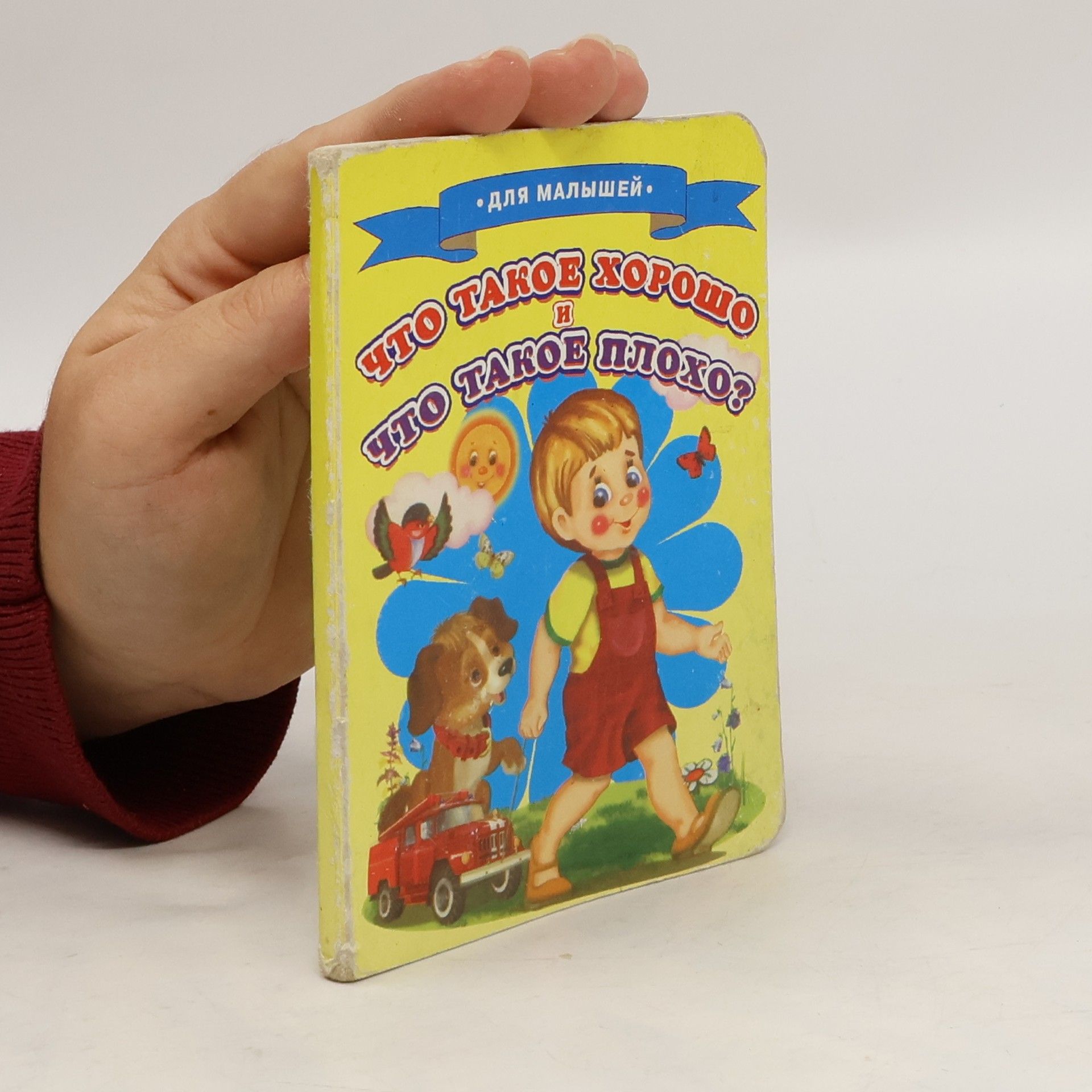 Что такое хорошо и что такое плохо?