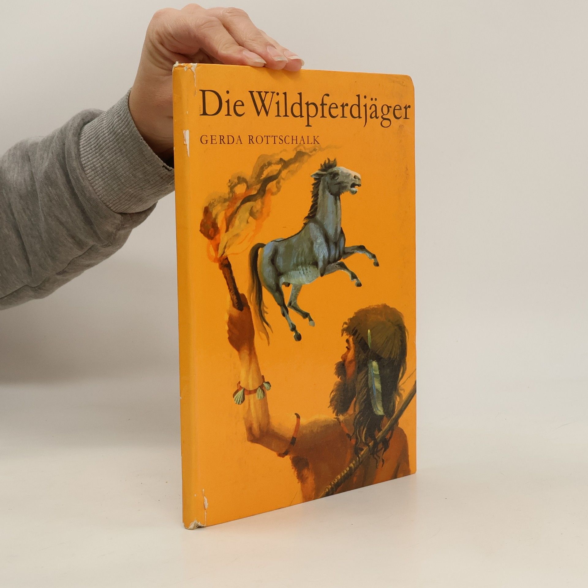 Die Wildpferdjäger