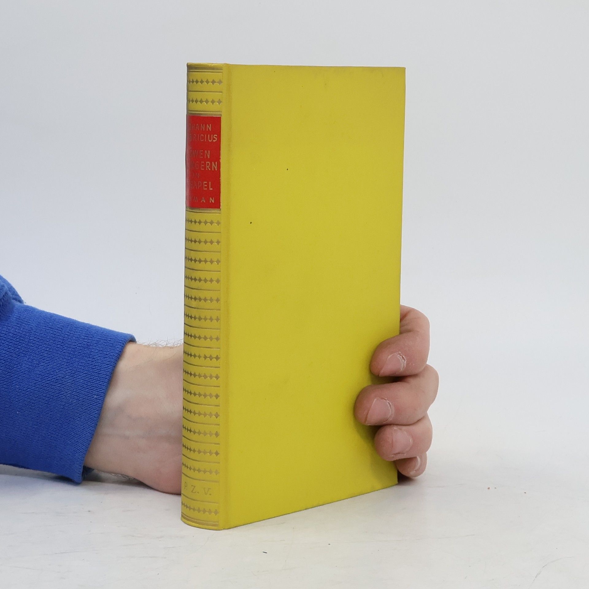 Johann Fabricius Löwen hungern in Neapel