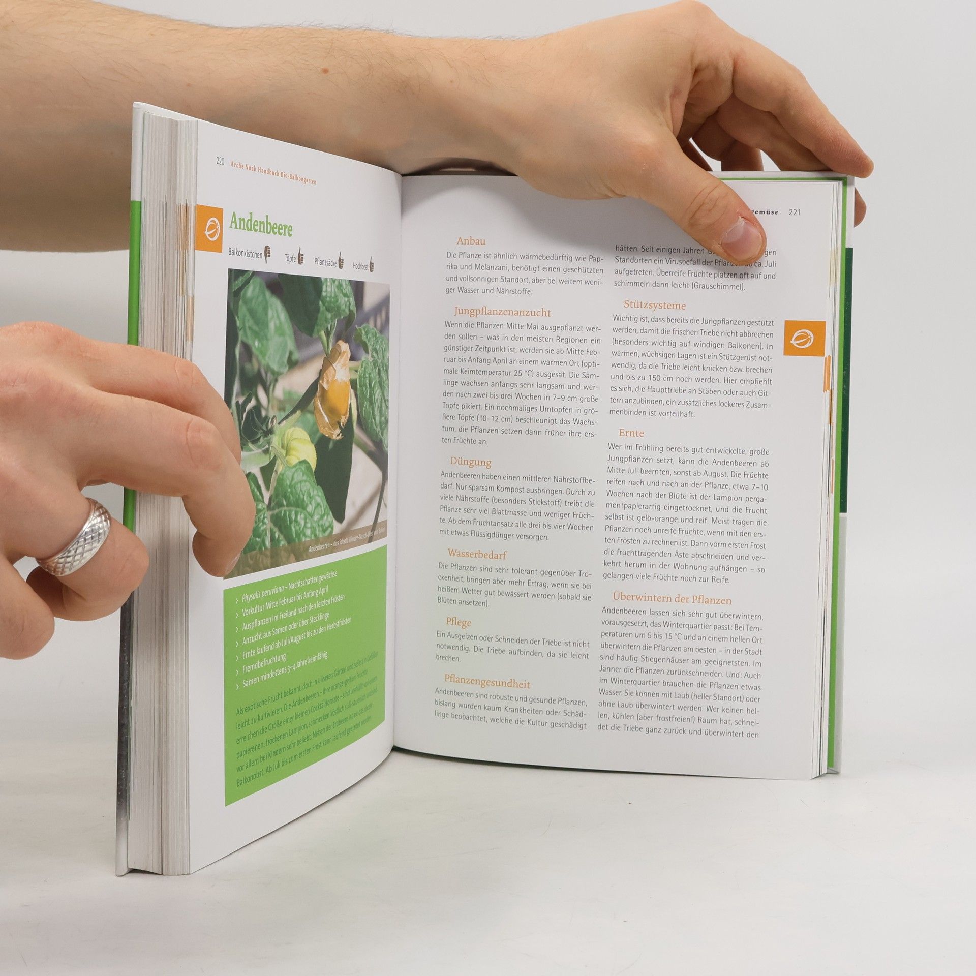Andrea Heistinger Handbuch Bio-Balkongarten