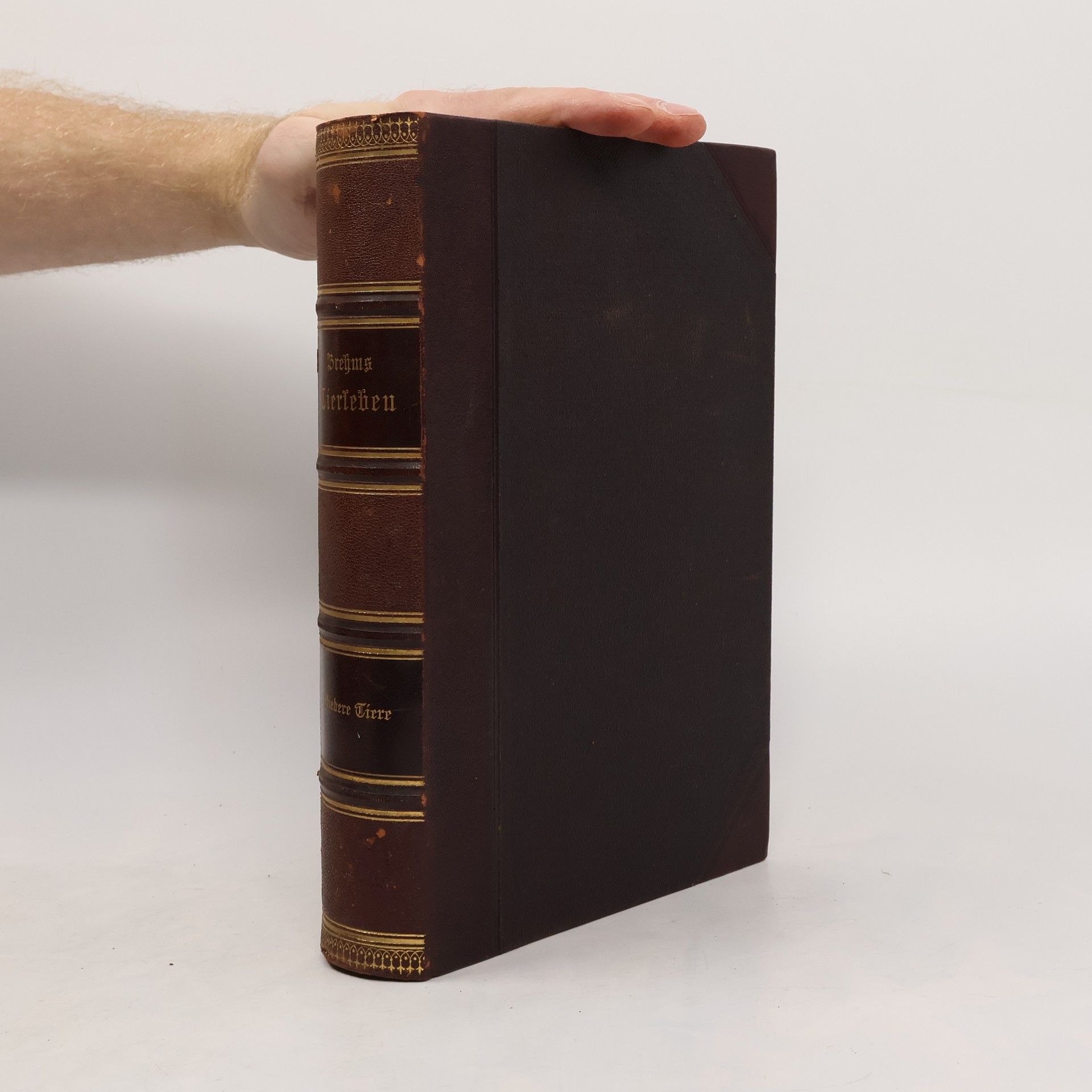 Alfred Edmund Brehm Brehms Tierleben. Niedere Tiere