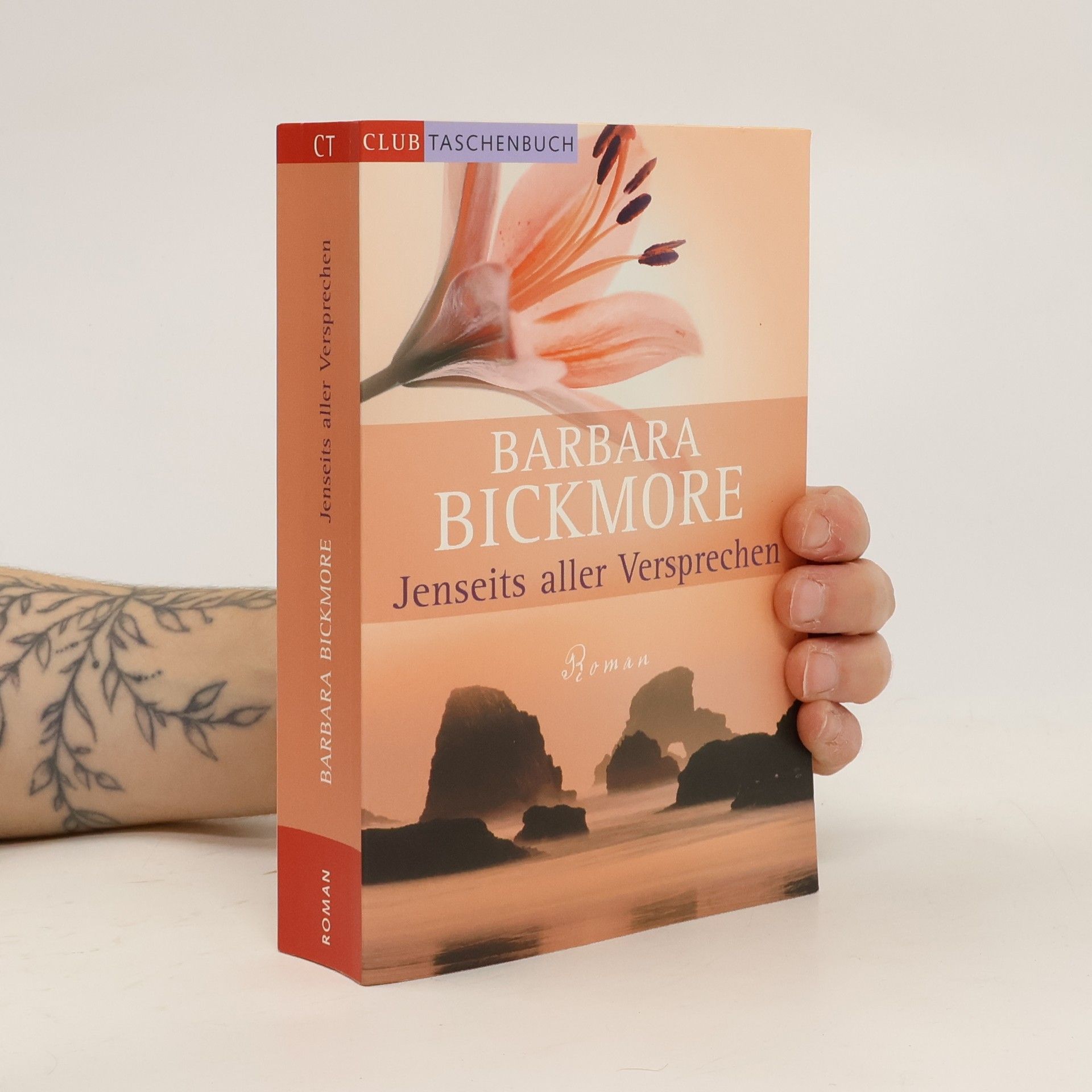 Barbara Bickmore Jenseits aller Versprechen