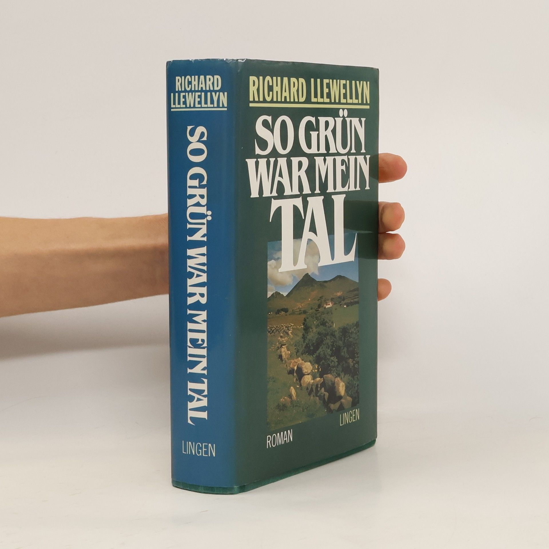 Richard Llewellyn So grün war mein Tal