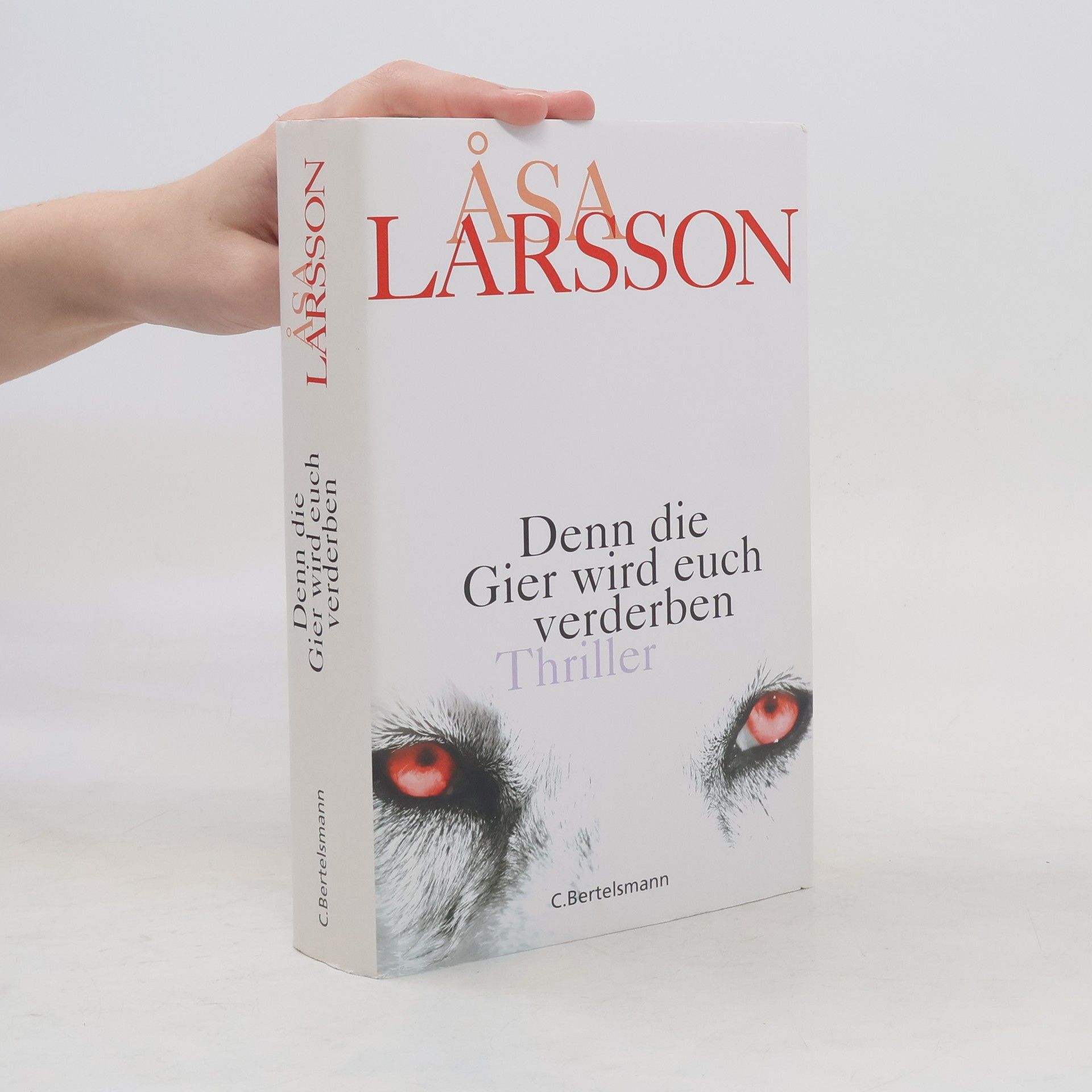 Åsa Larsson Denn die Gier wird euch verderben