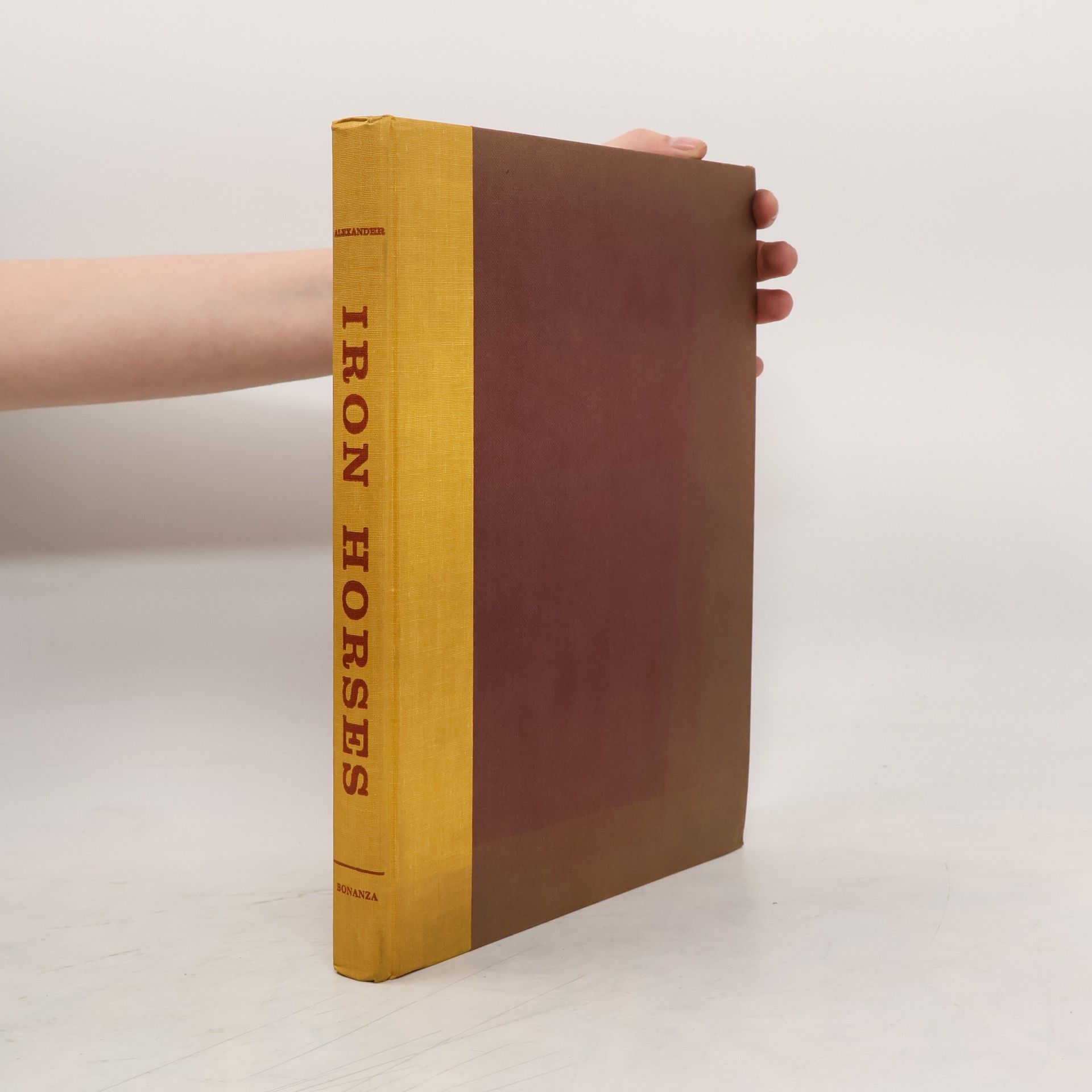 Kolektiv autorů Iron Horses