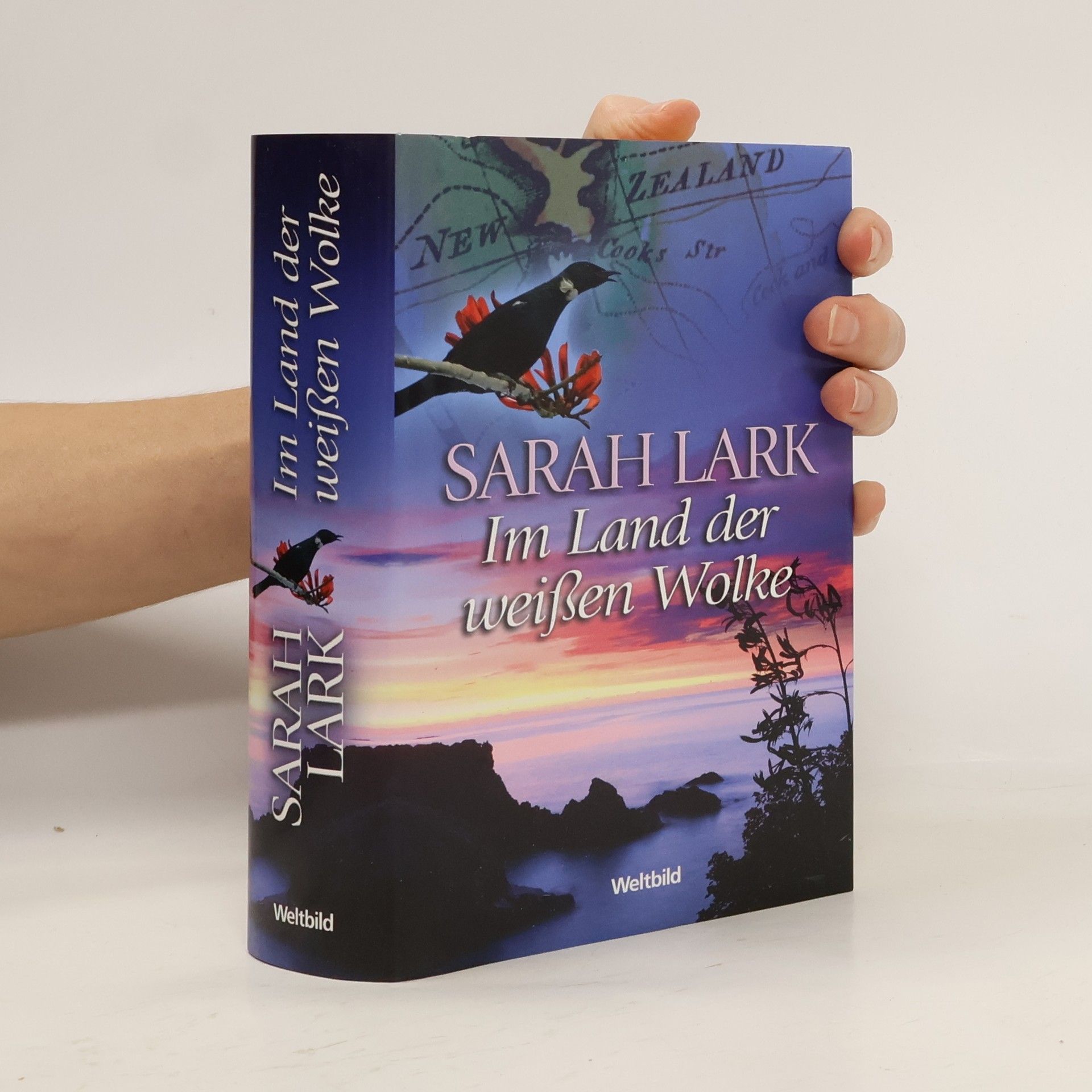 Christiane Gohl Im Land der weißen Wolke