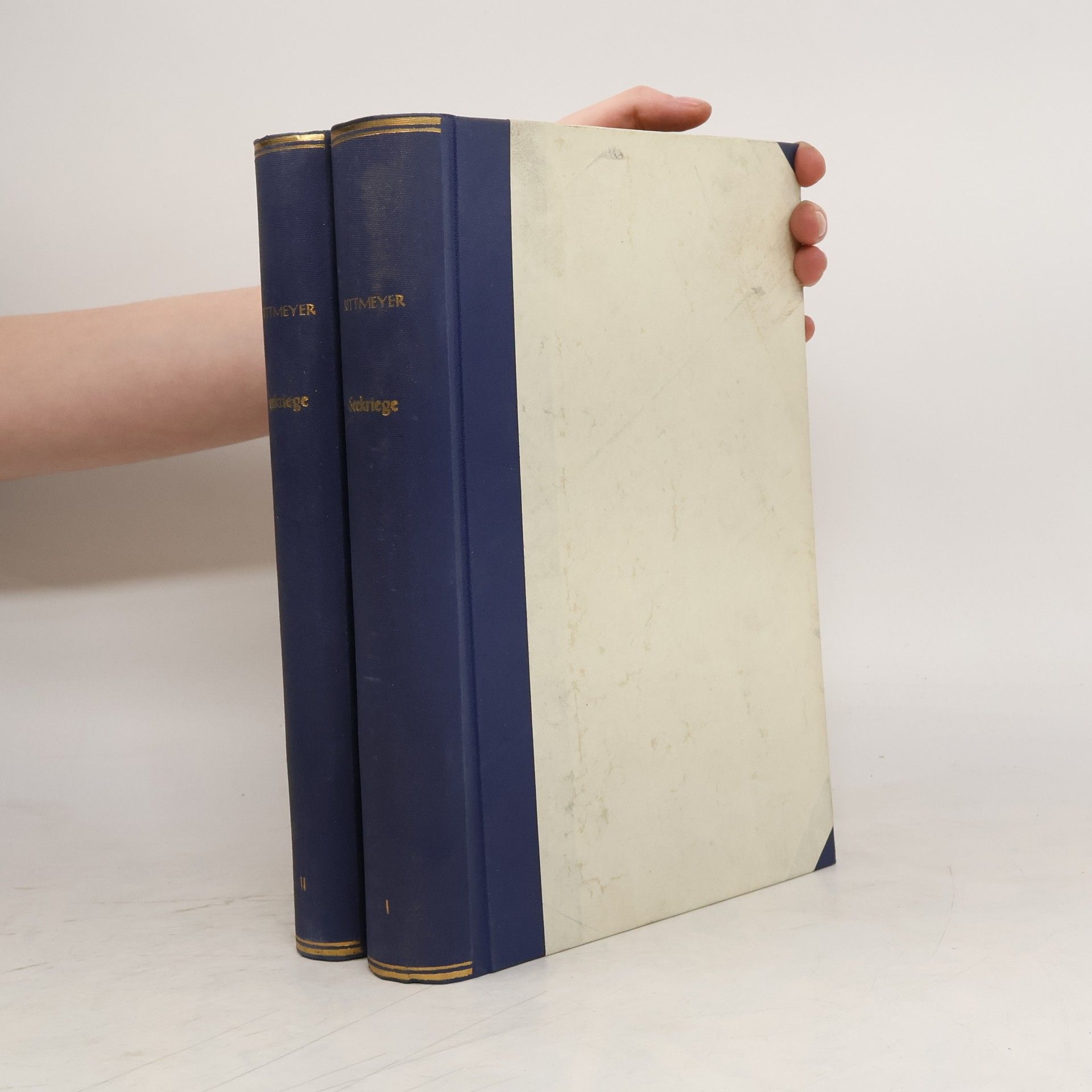 Rudolph Rittmeyer Seekriege und Seekriegswesen in ihren weltgeschichtlichen Entwicklung. Band I-II