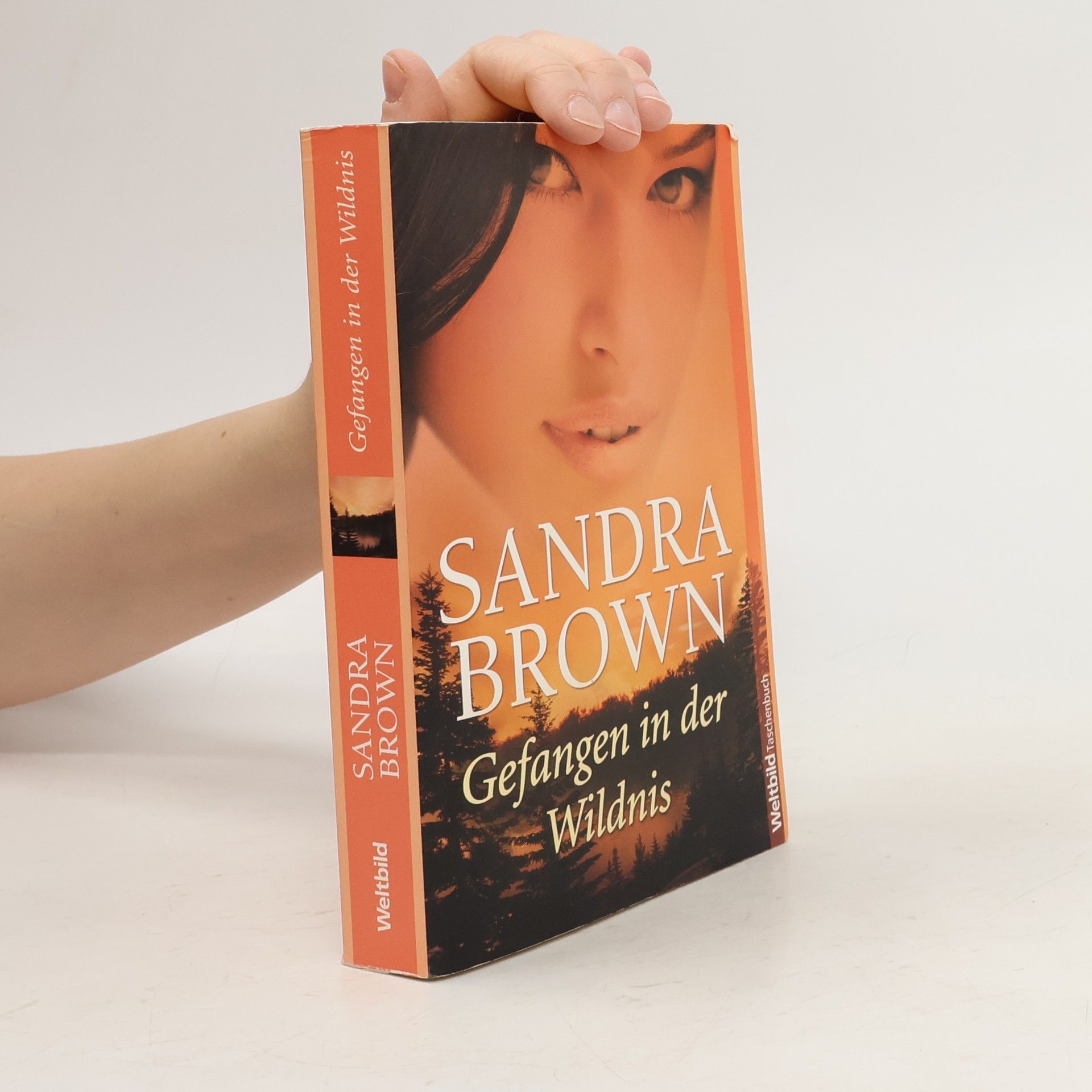 Sandra Brown Gefangen in der Wildnis