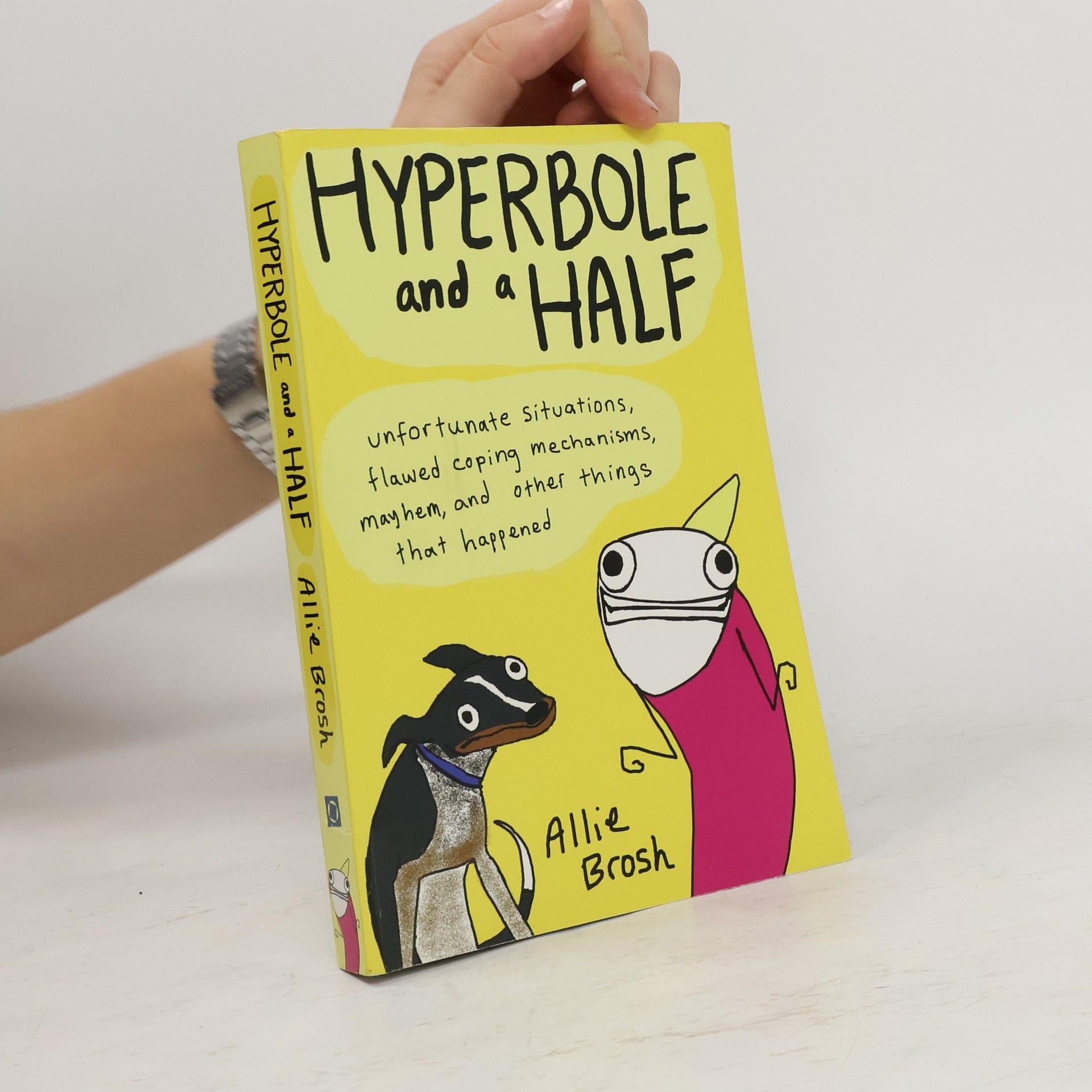 Allie Brosh Hyperbole and a Half