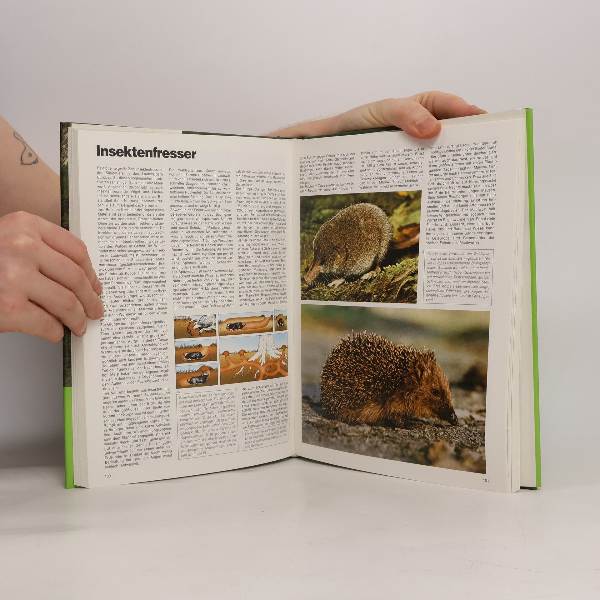 Autorenkollektiv Berge und Wälder