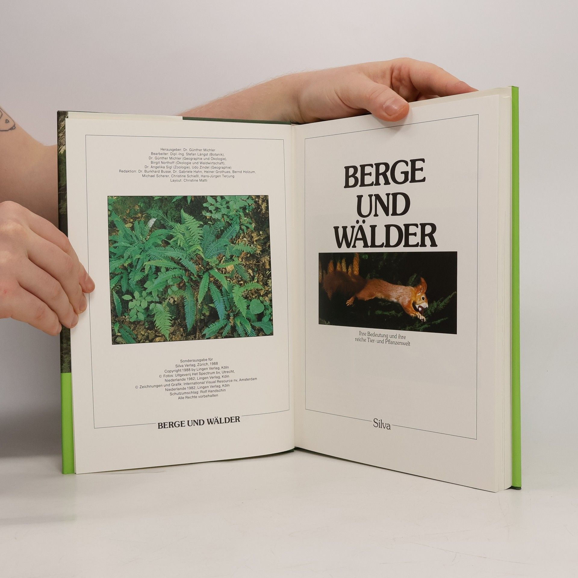 Autorenkollektiv Berge und Wälder