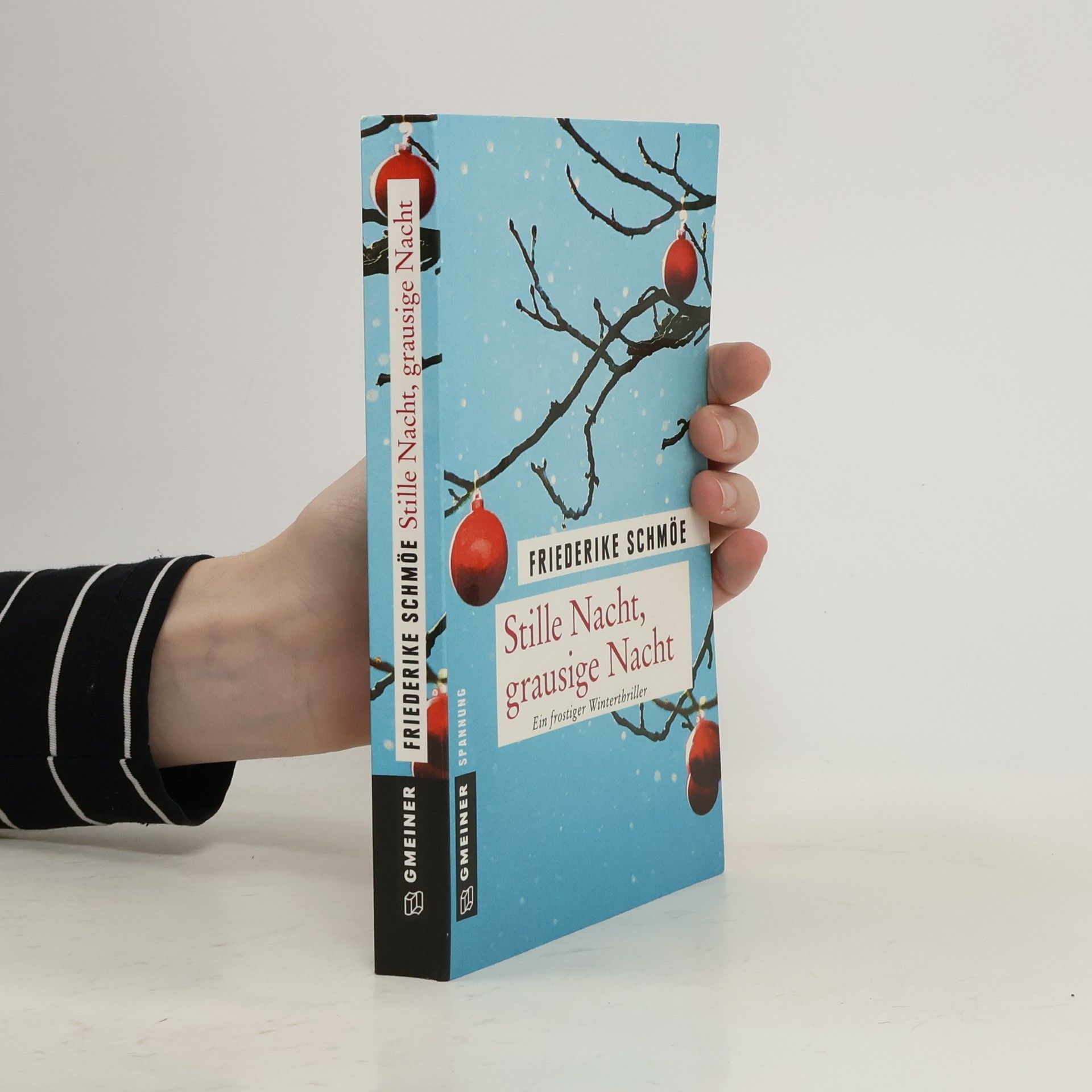 Friederike Schmöe Stille Nacht, grausige Nacht