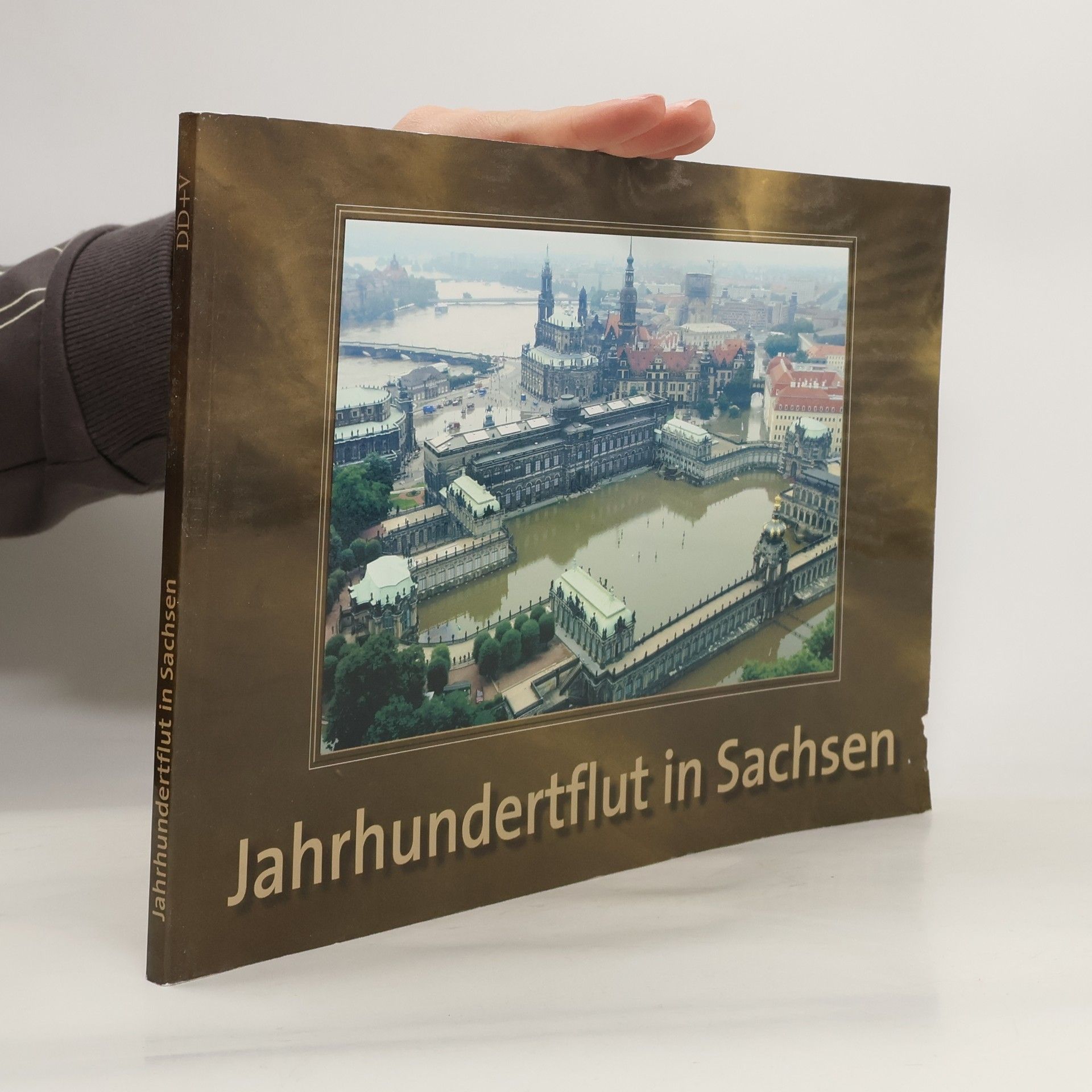 Monika Dänhardt Jahrhundertflut in Sachsen