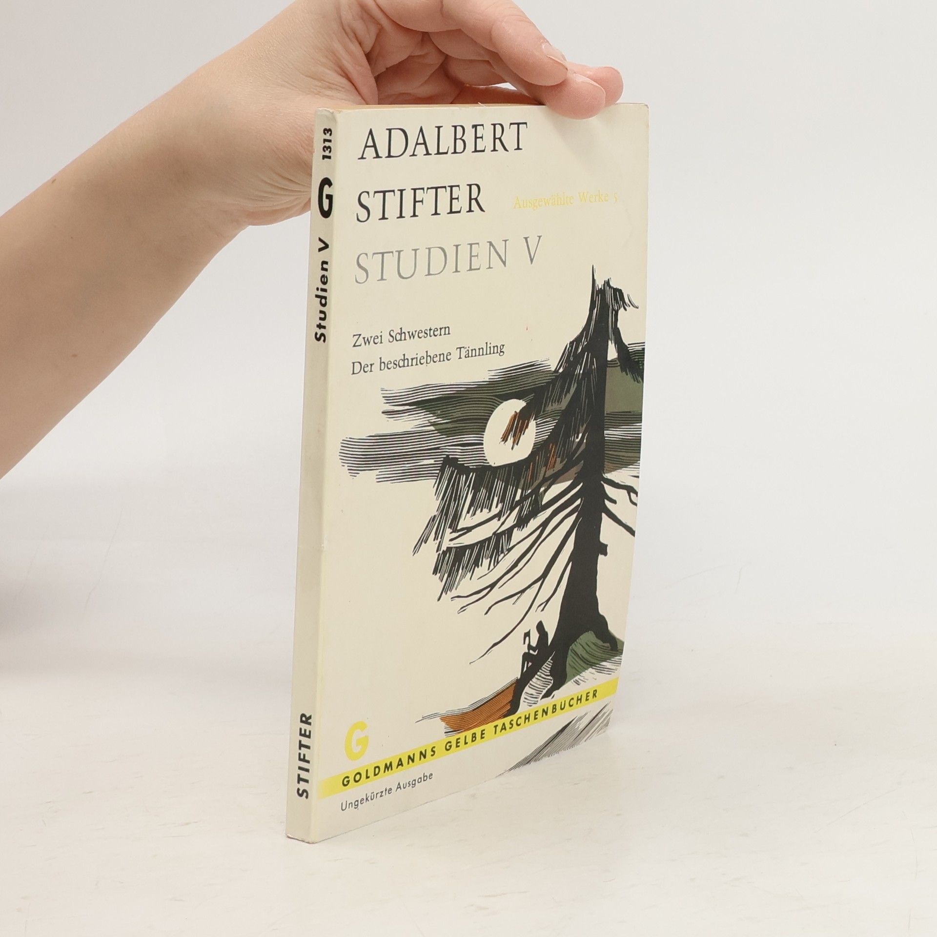 Adalbert Stifter Studien V.