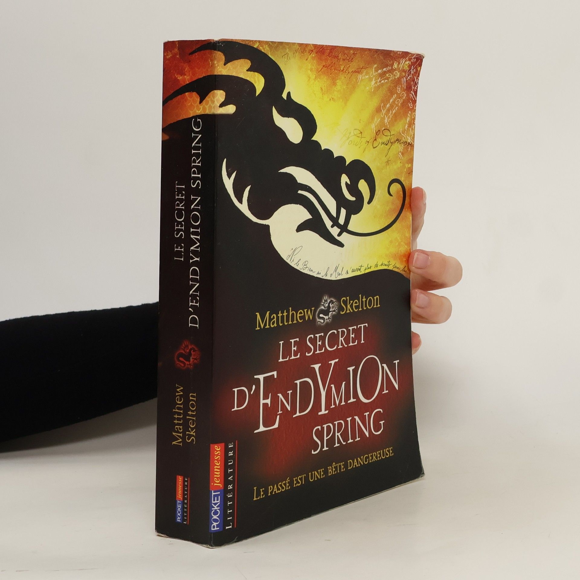 Matthew Skelton Le secret d'Endymion Spring