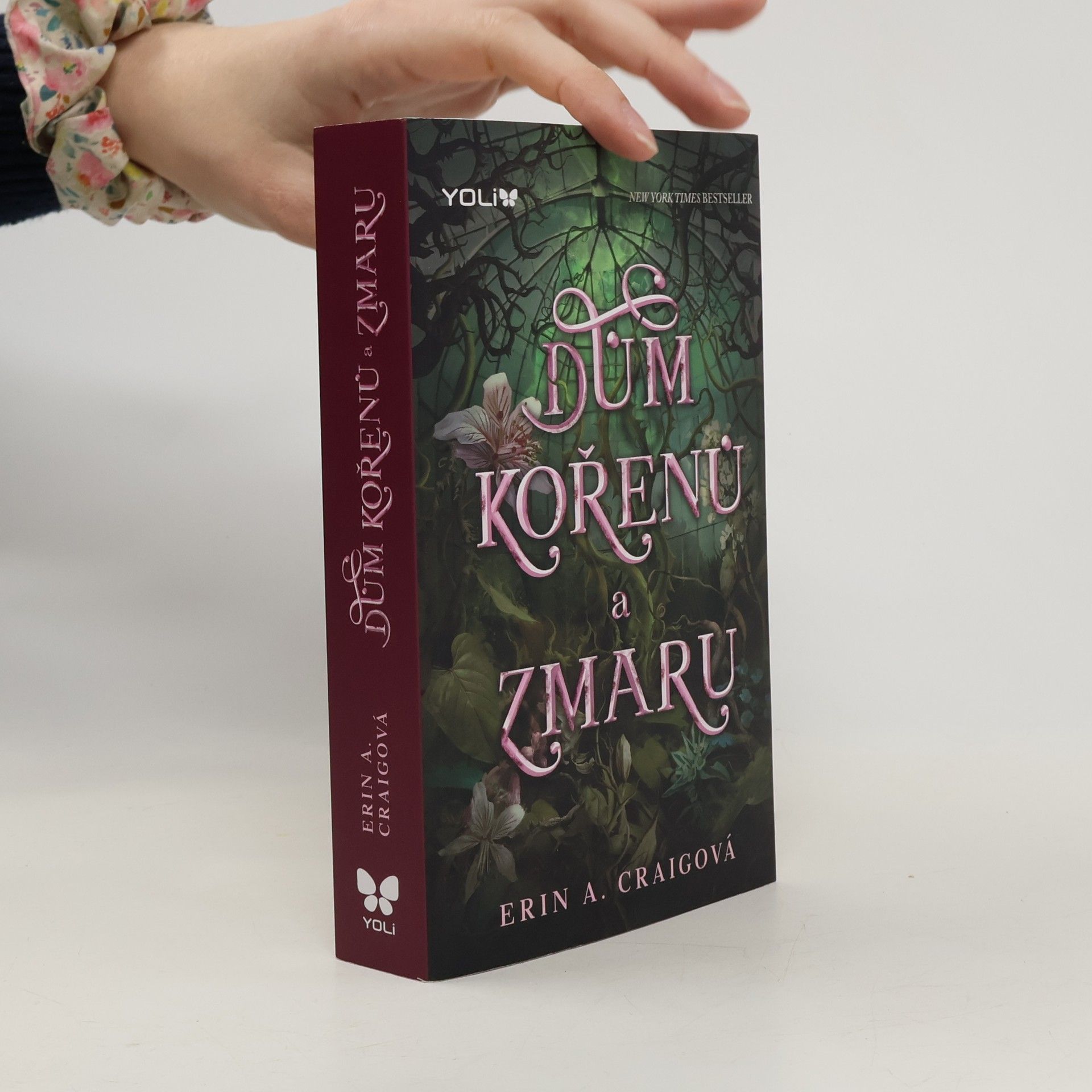 Erin A. Craig Dům kořenů a zmaru