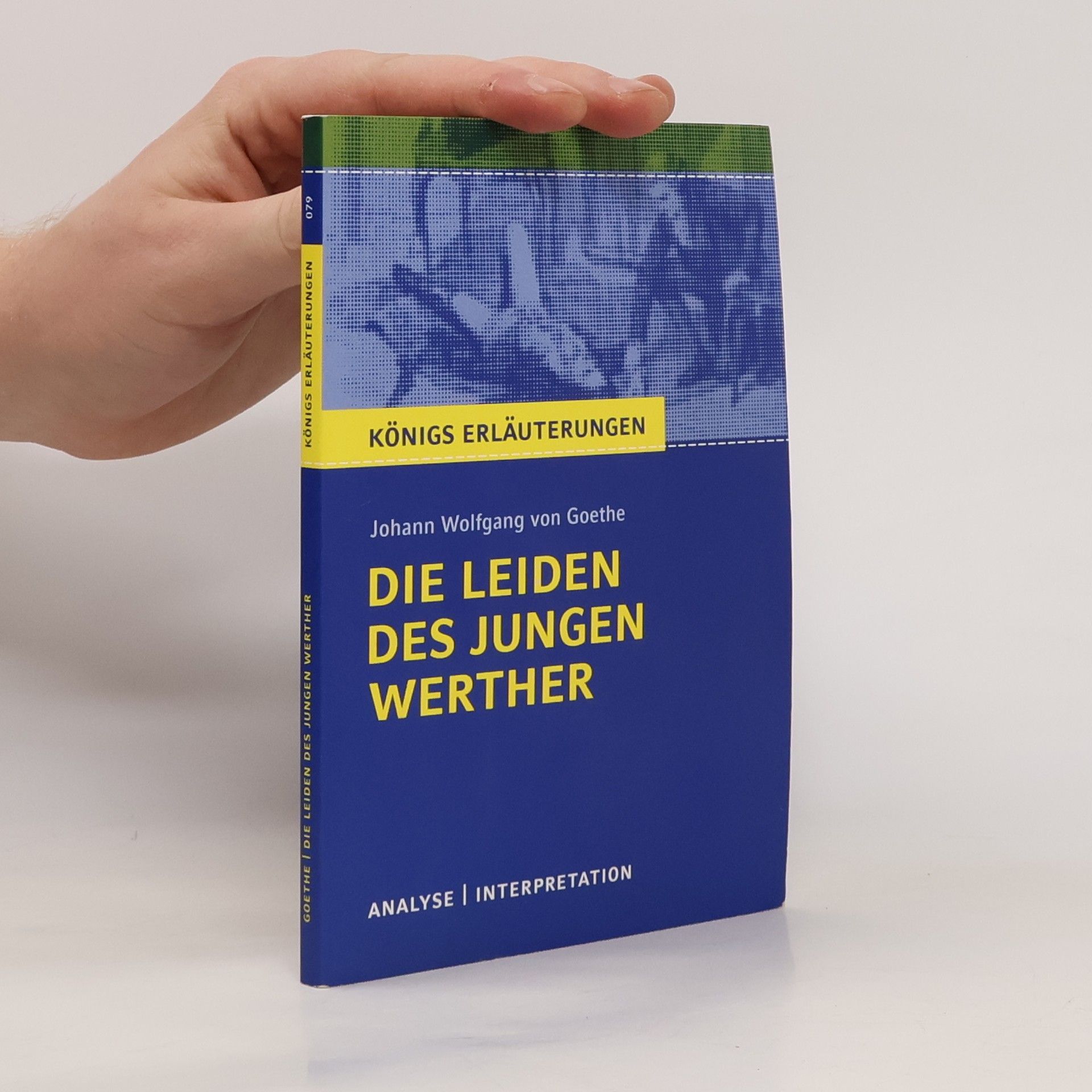 Rüdiger Bernhardt Die Leiden des jungen Werther