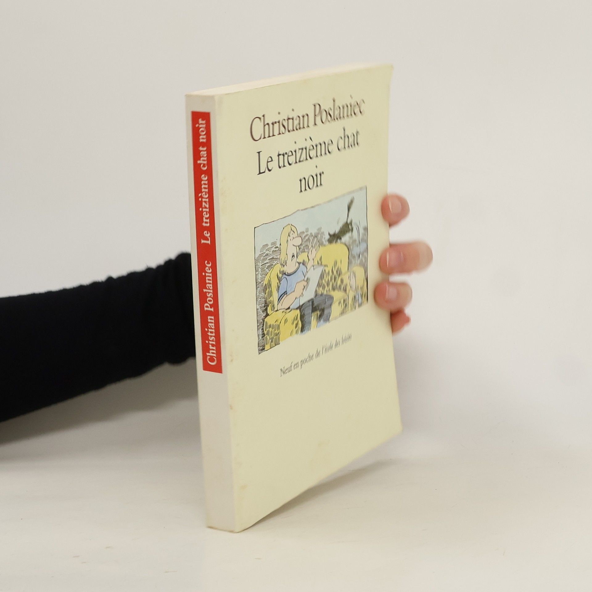 Le treizième chat noir