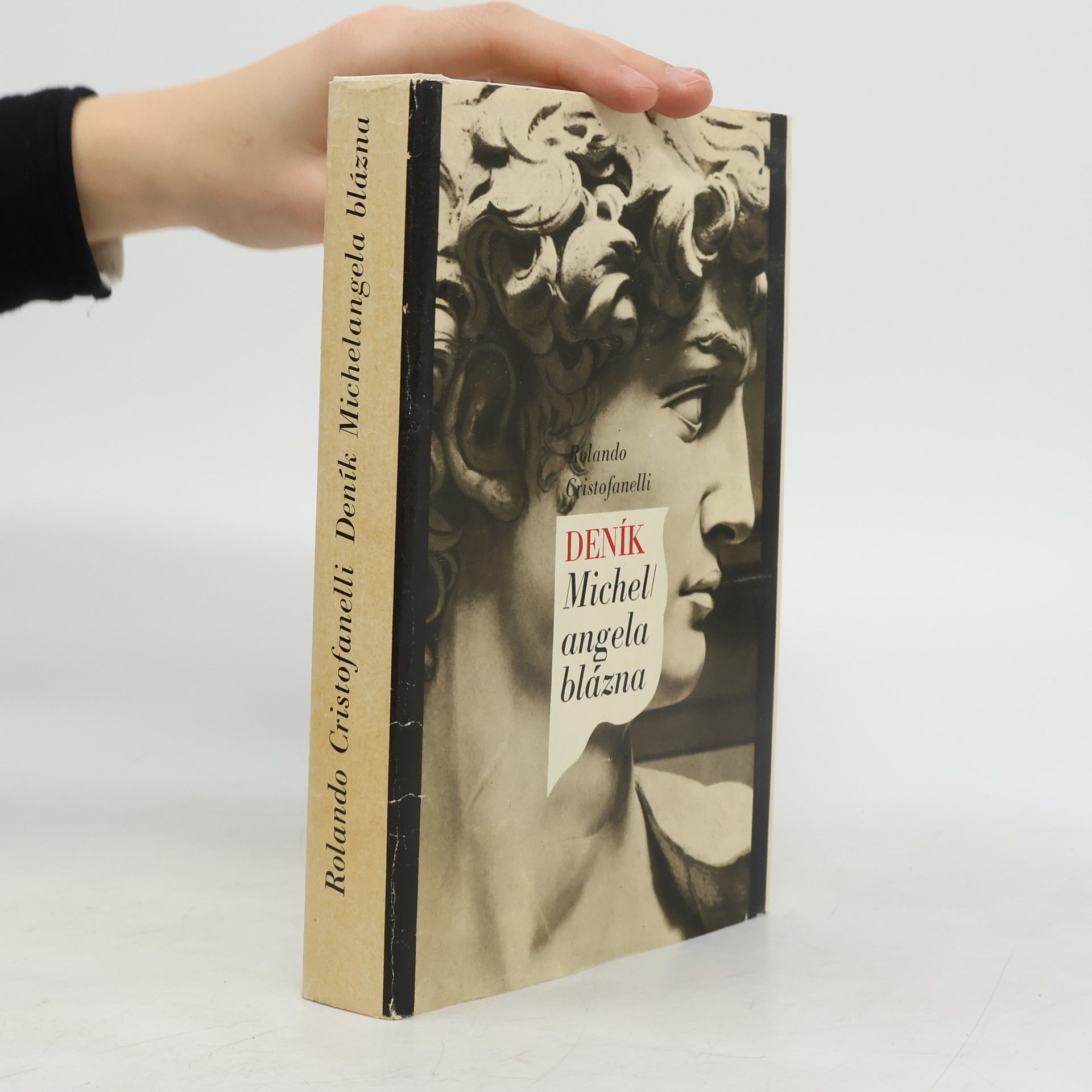 Rolando Cristofanelli Deník Michelangela blázna