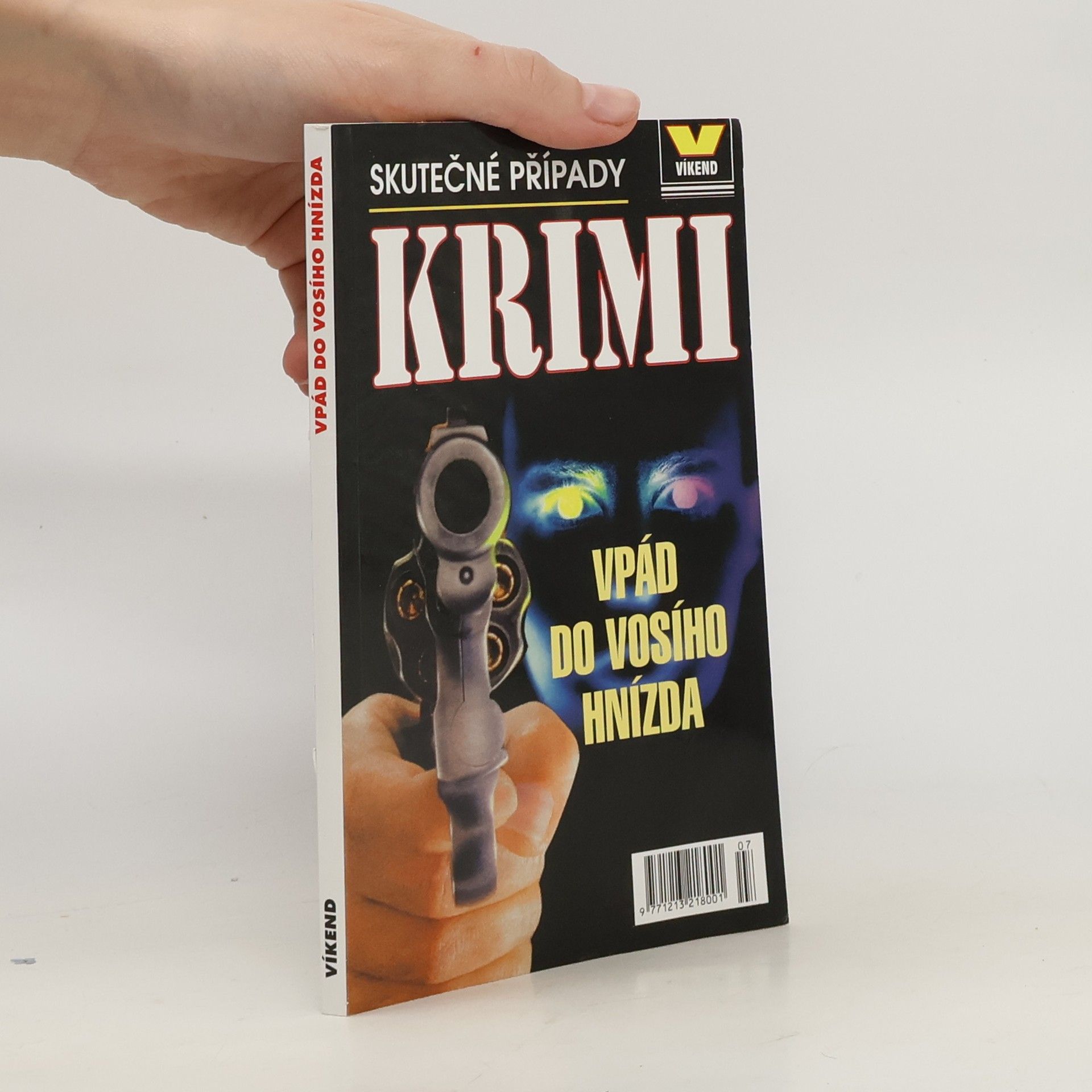 Jiří Bílek Vpád do vosího hnízda