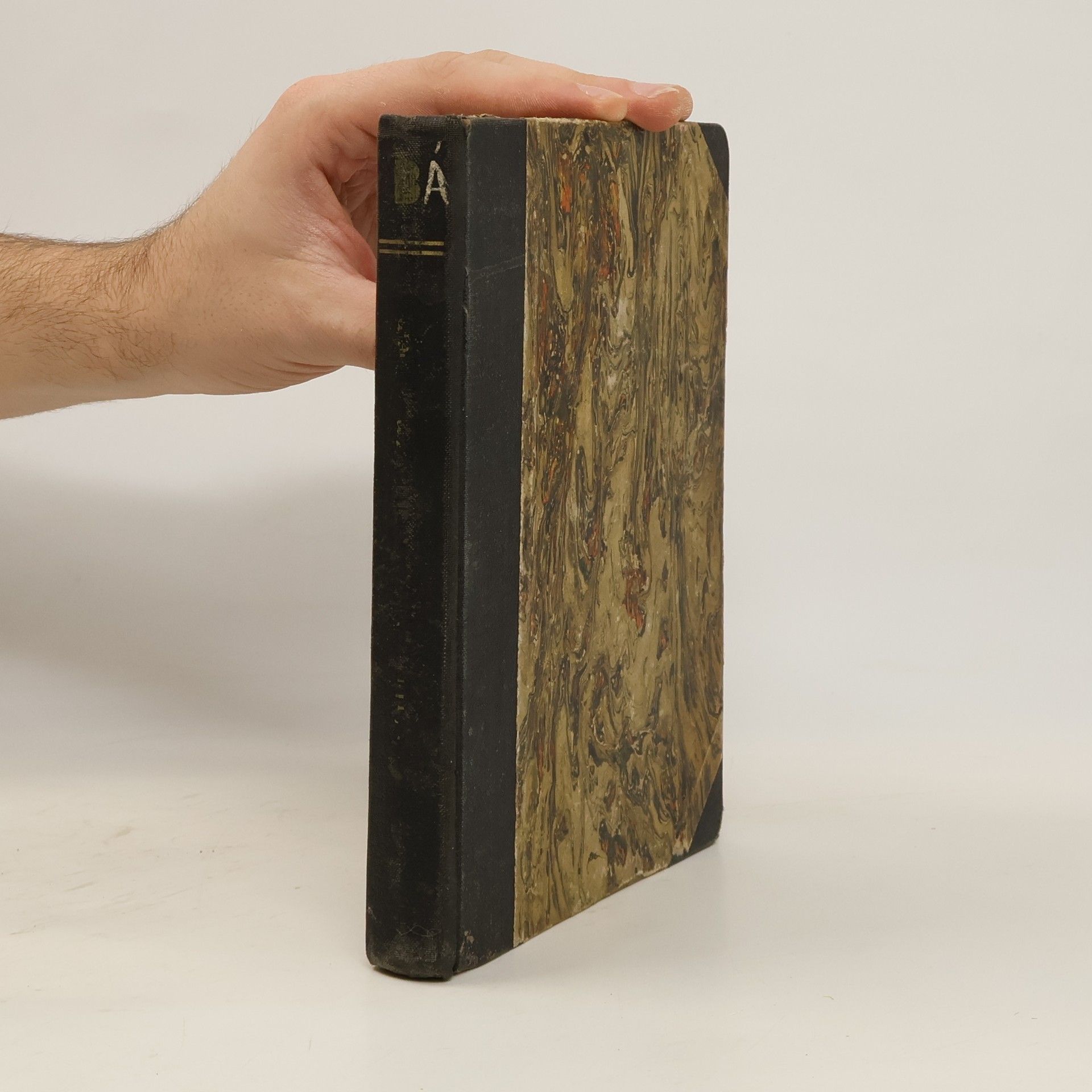 Pod Goethovým dubem a jiné prosy