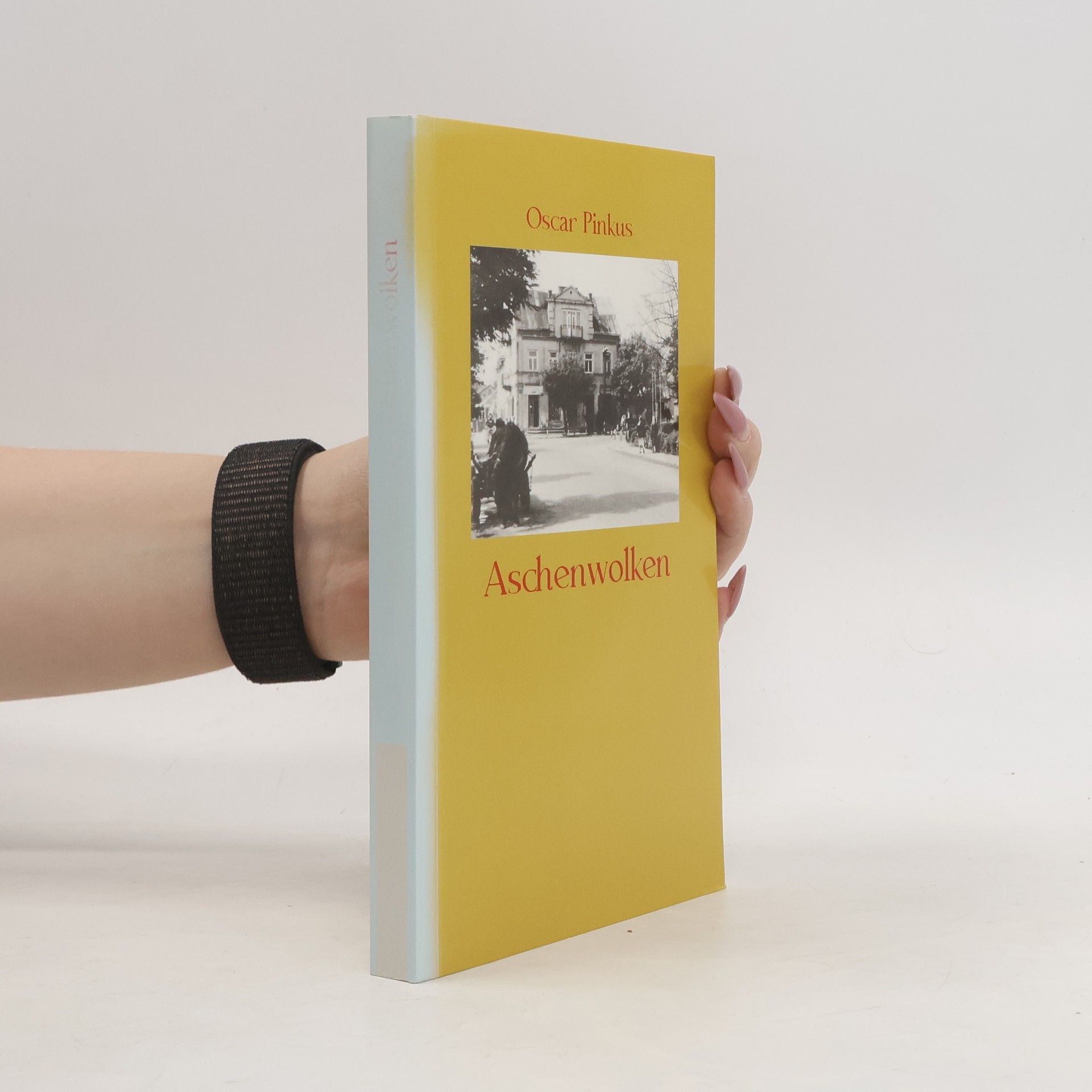 Oscar Pinkus Aschenwolken