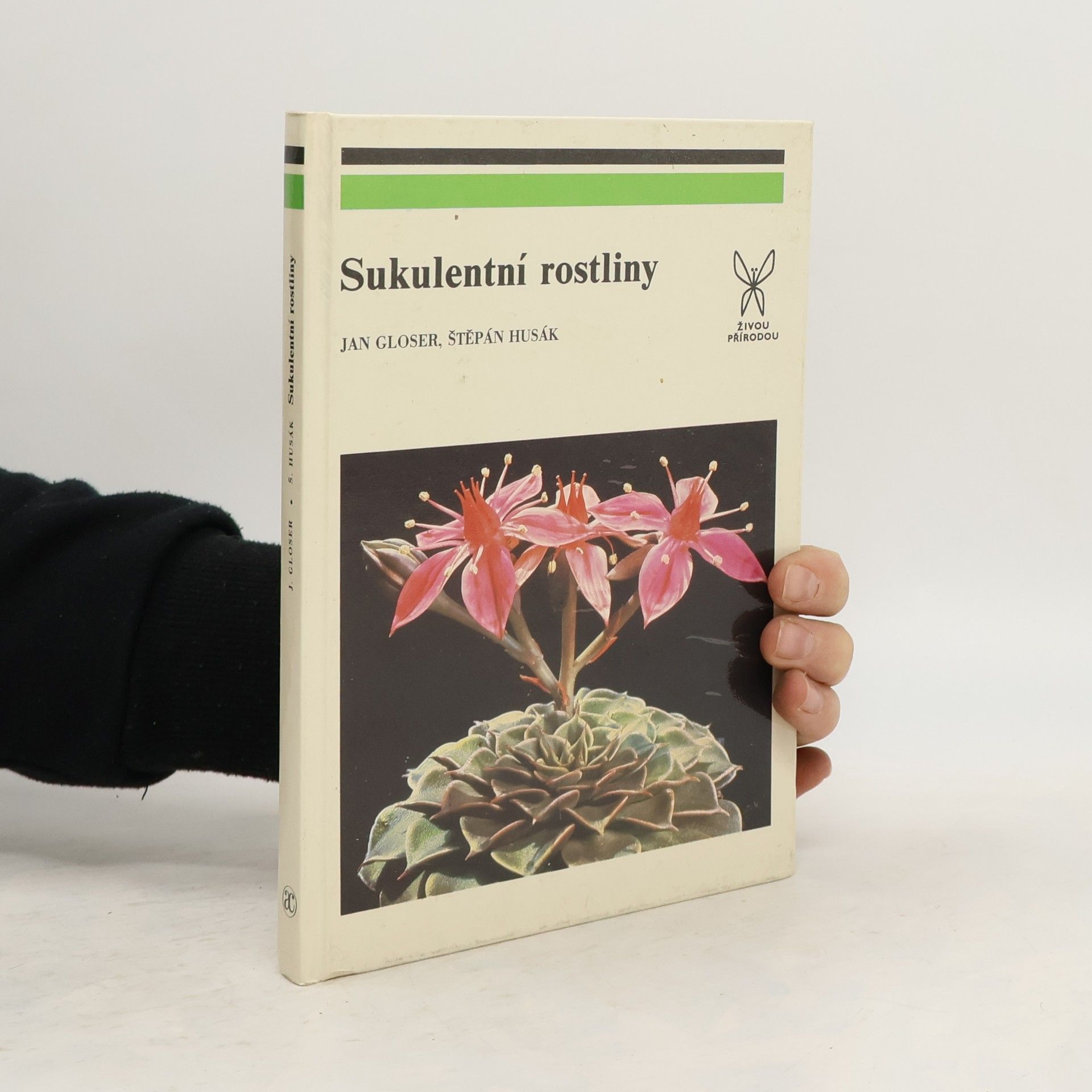 Sukulentní rostliny