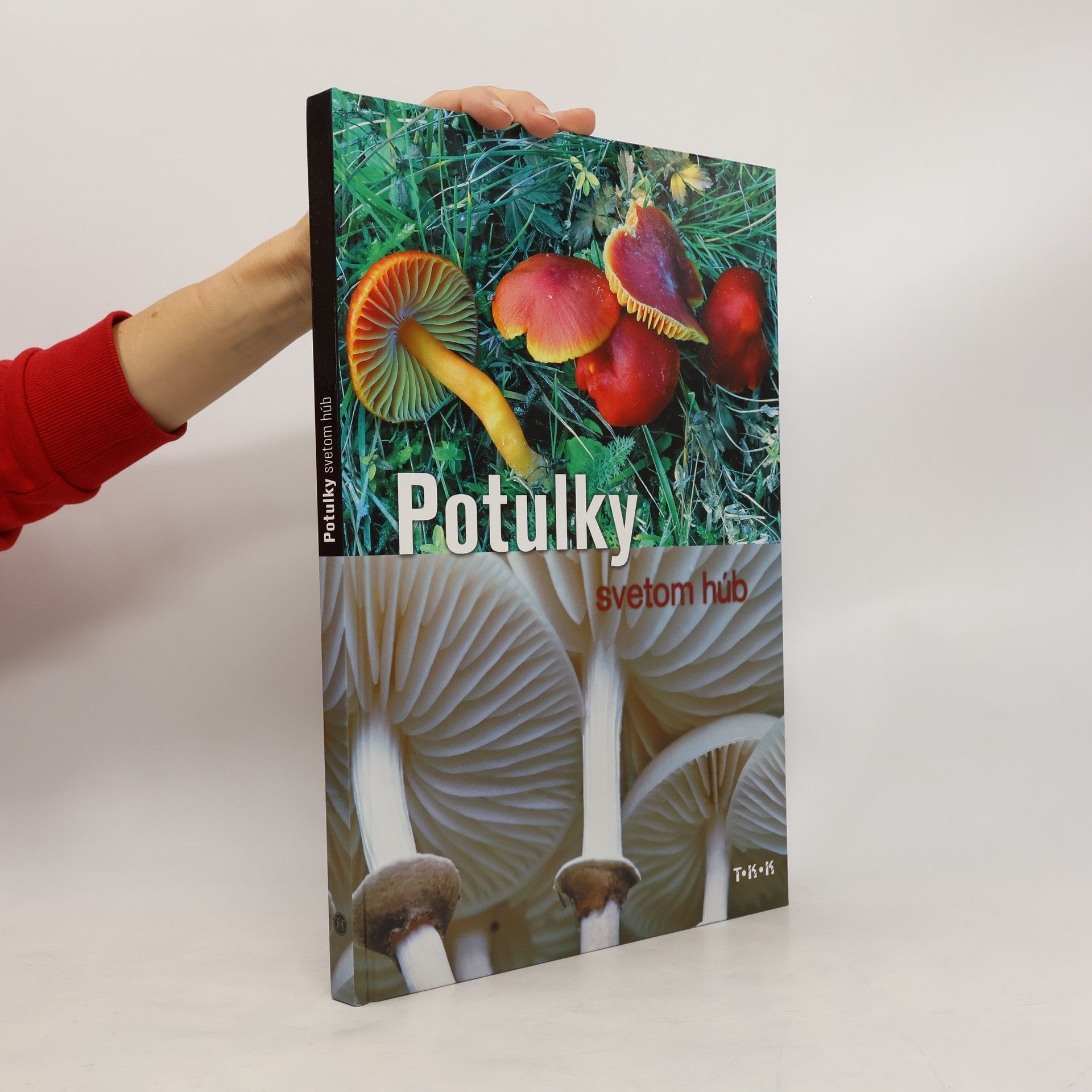 Autorenkollektiv Potulky svetom húb