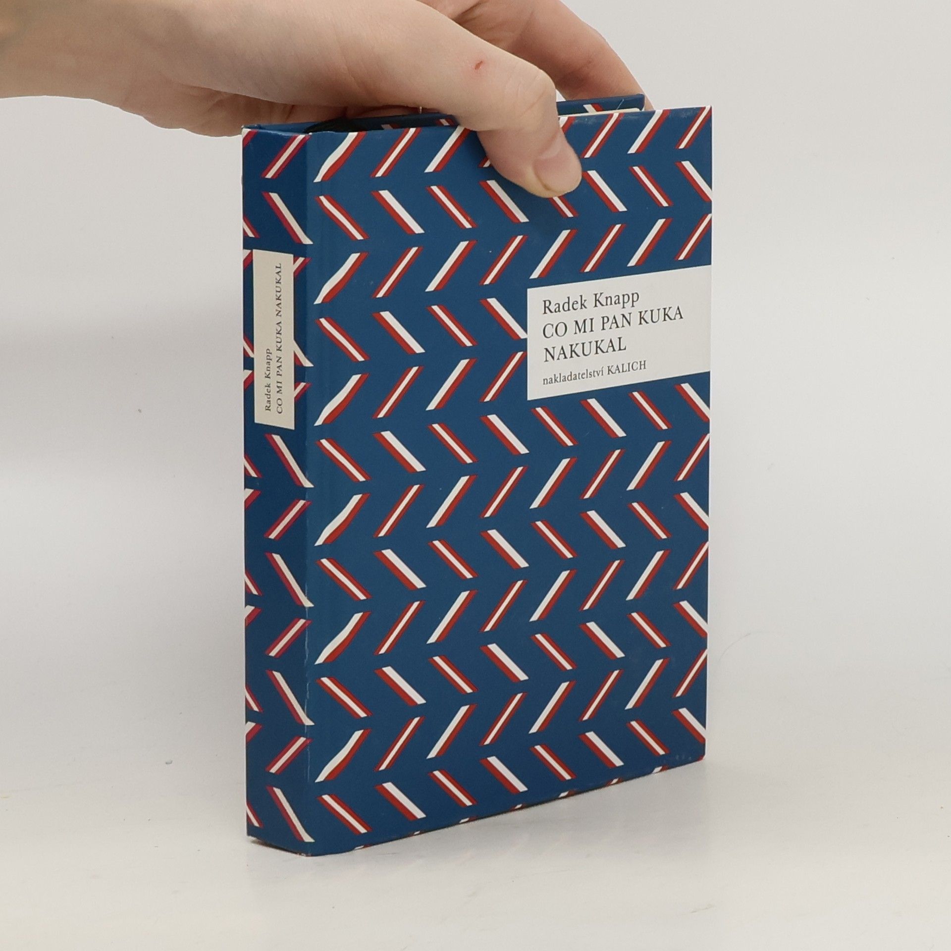 Radek Knapp Co mi pan Kuka nakukal