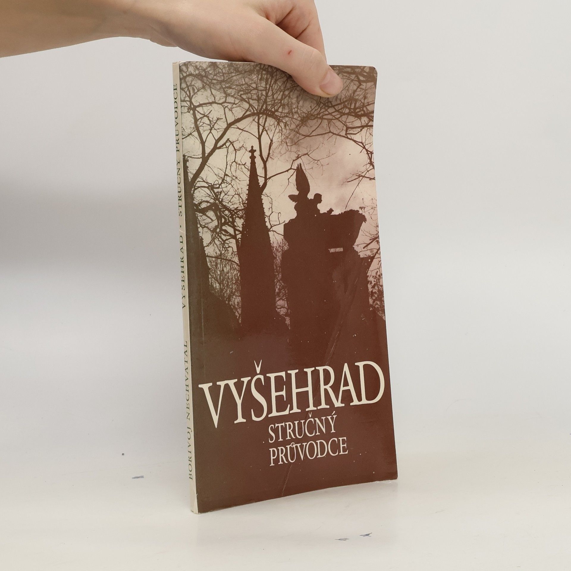 Vyšehrad. Stručný průvodce